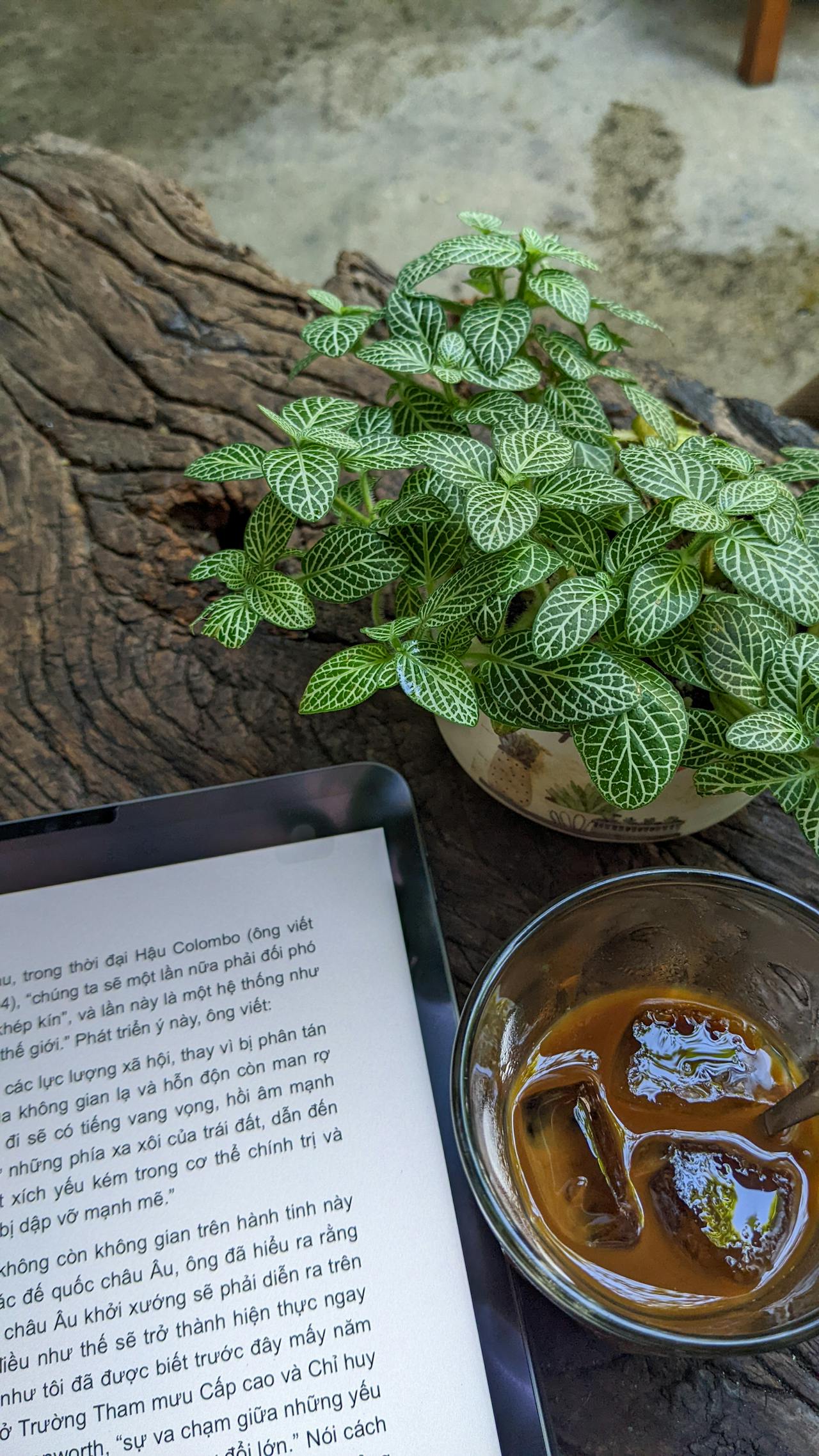 Hệ thống Reservation khách sạn hoạt động như thế nào?