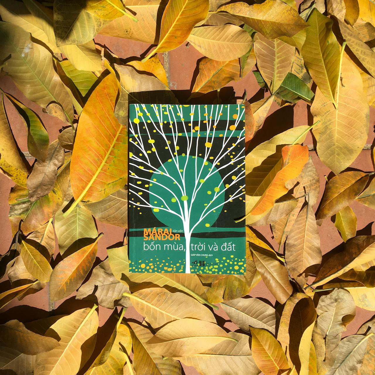 Chỉ xem giá vàng hôm nay từ nguồn đáng tin?