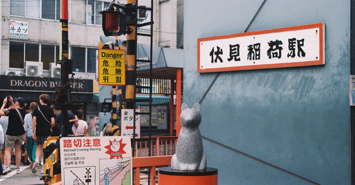 冬季旅游注意事项:应对熊出没的实用攻略 冬季旅游注意事项:应对熊出没的实用攻略