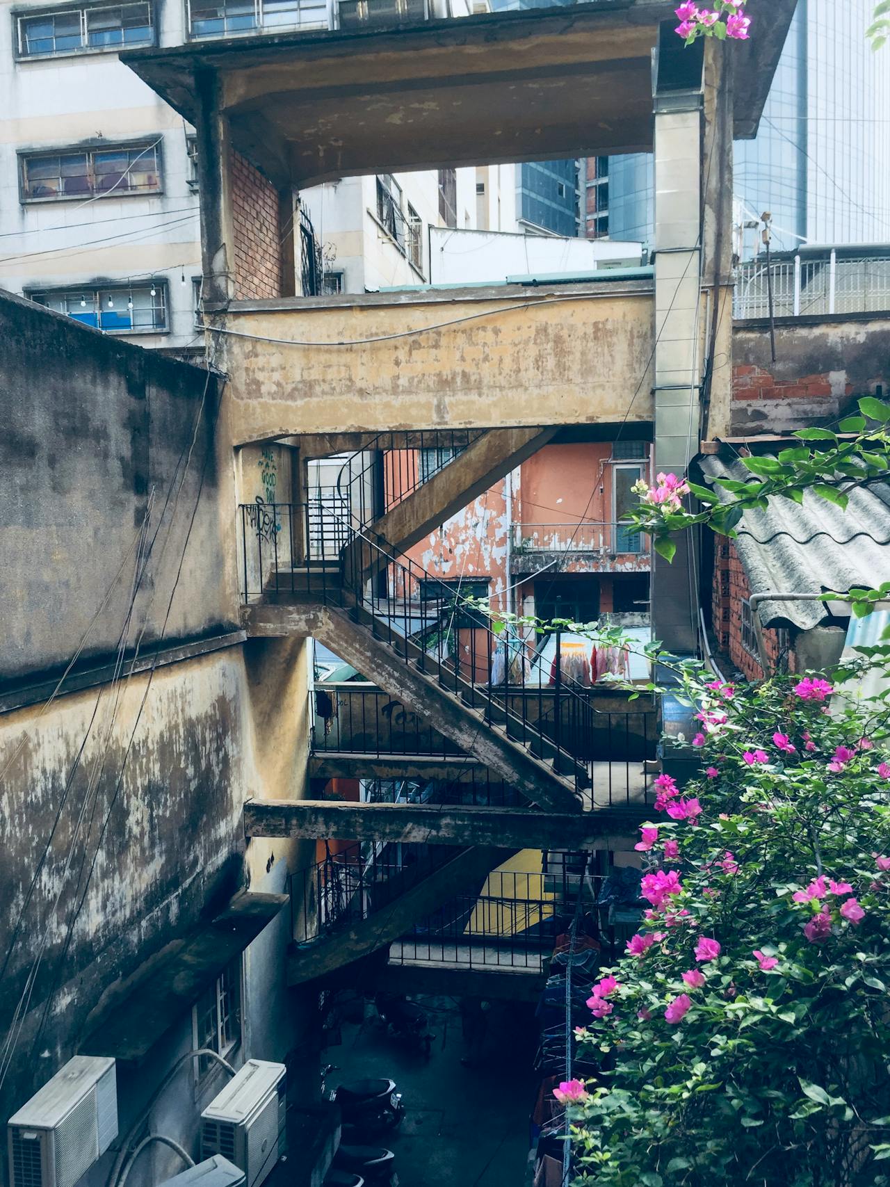 Hạnh phúc thực sự trong thế giới đau khổ