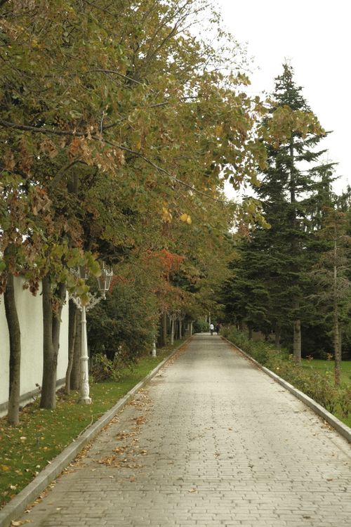Free Serene cobblestone path lined with trees in İstanbul, ideal for peaceful strolls. Stock Photo