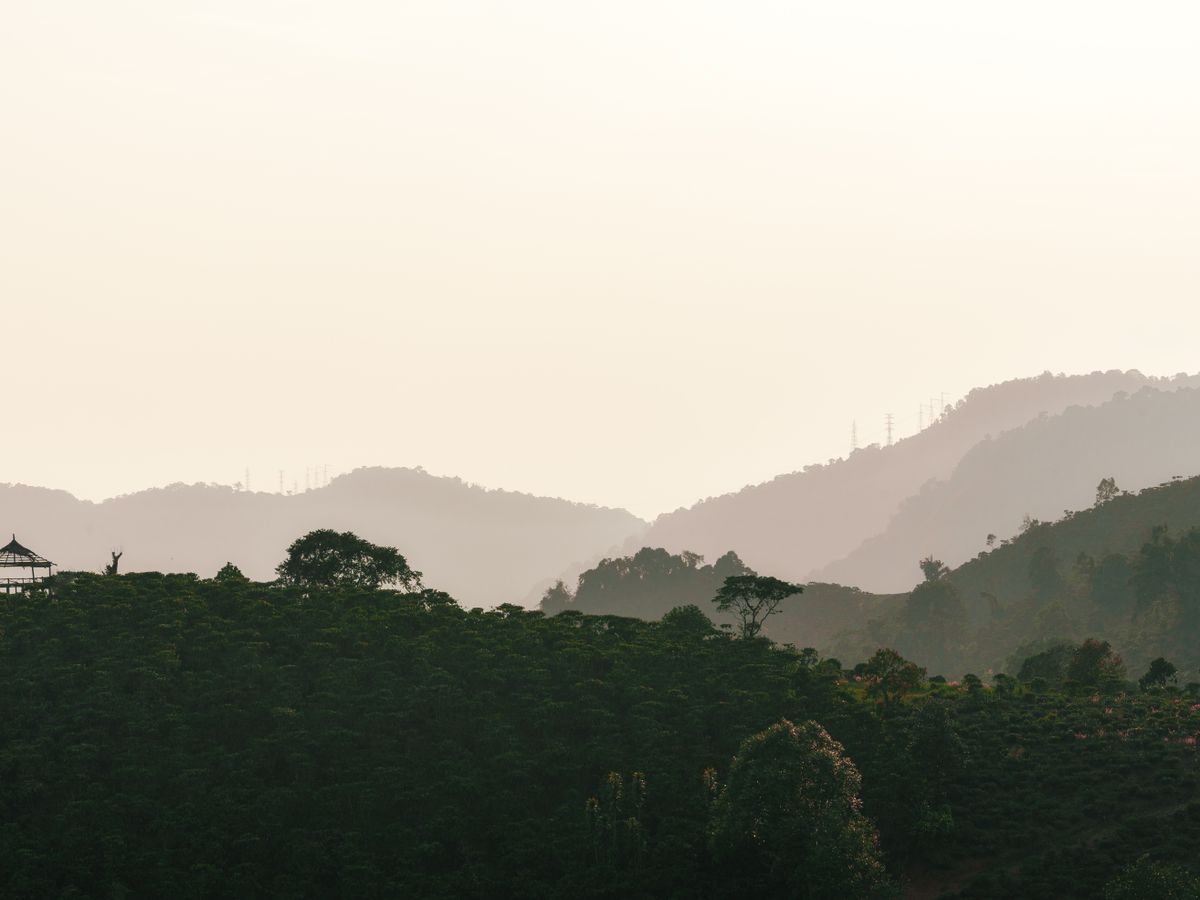 4 Day Sightseeing Yoga Retreat, Relaxation & Yoga Holiday, Nepal 2