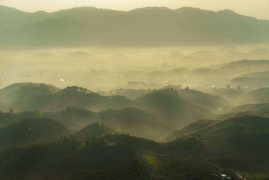 Wilson Hills (Dharampur)