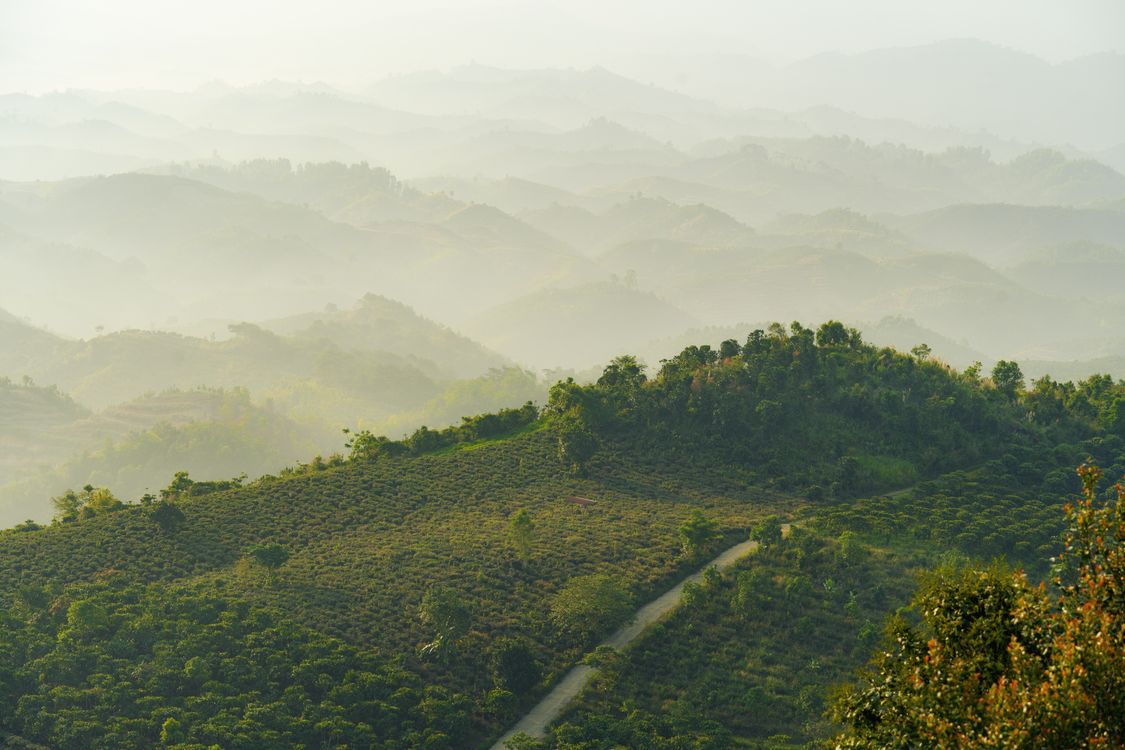 Serene Misty Hills Landscape Photography · Free Stock Photo