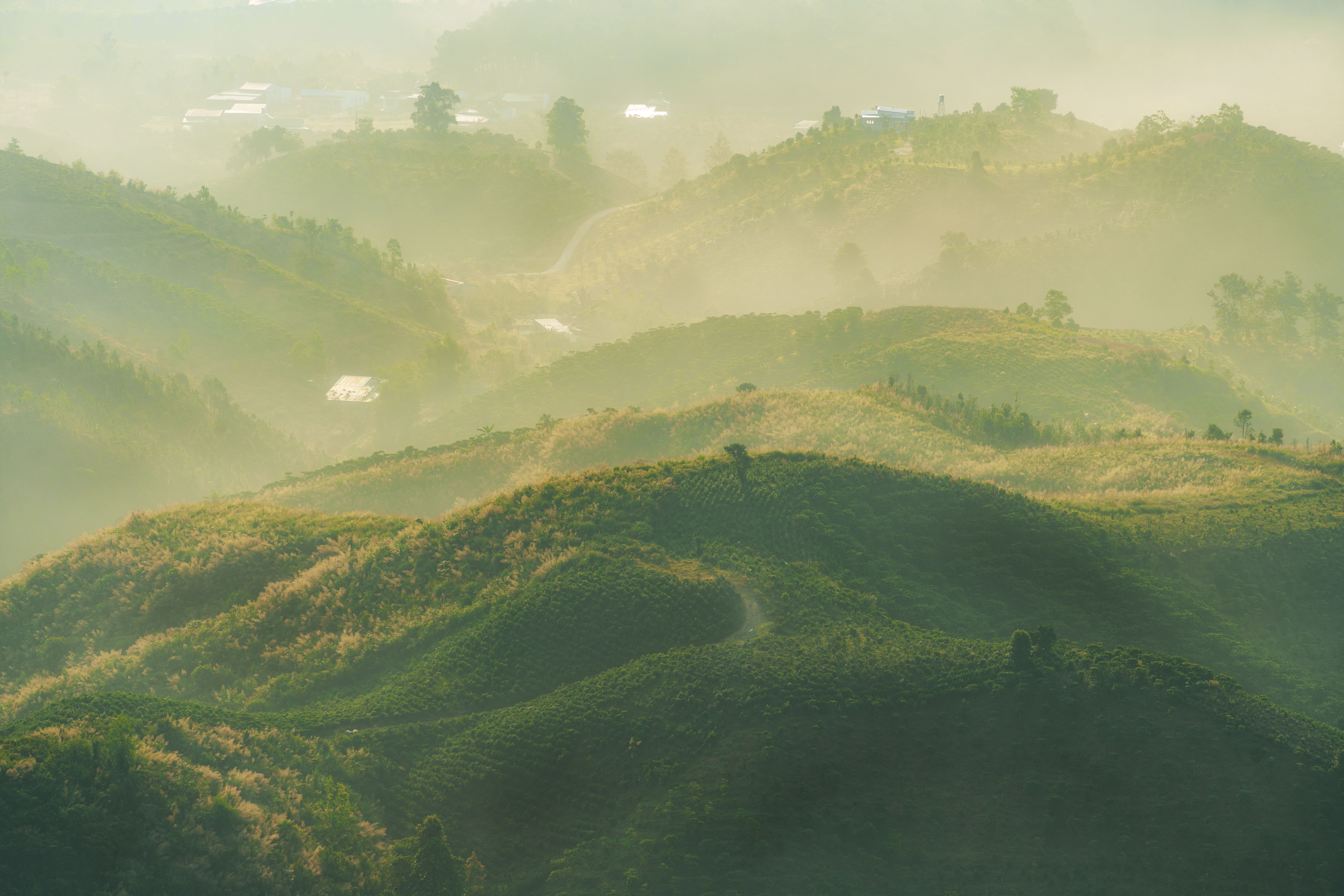 person walking on a winding path through green hills at sunrise
