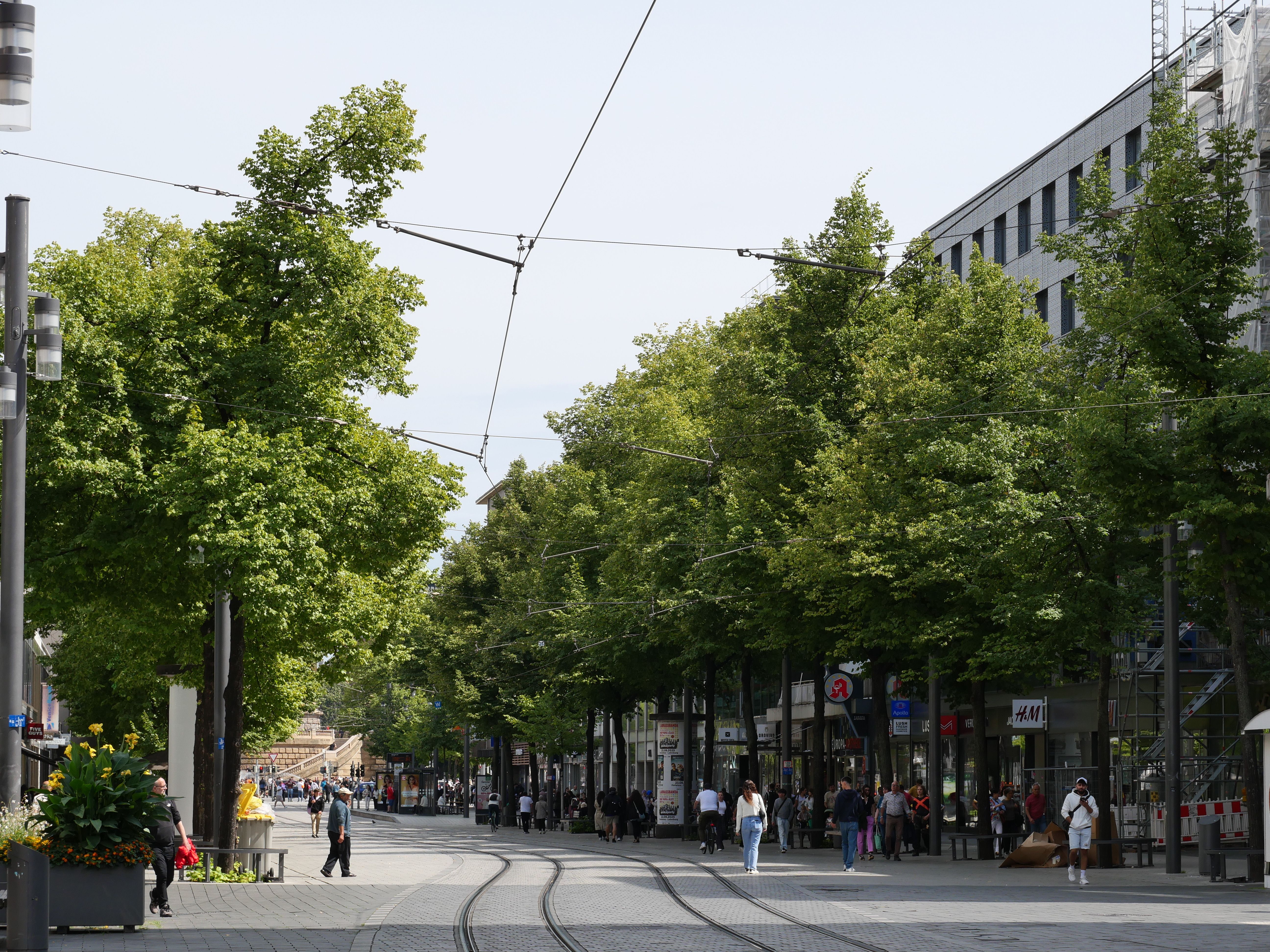 Mannheim Rhein-Neckar