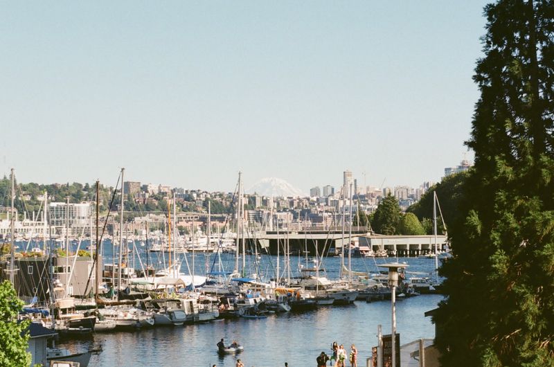 Scenic Seattle marina with Mount Rainier in the background at sunset