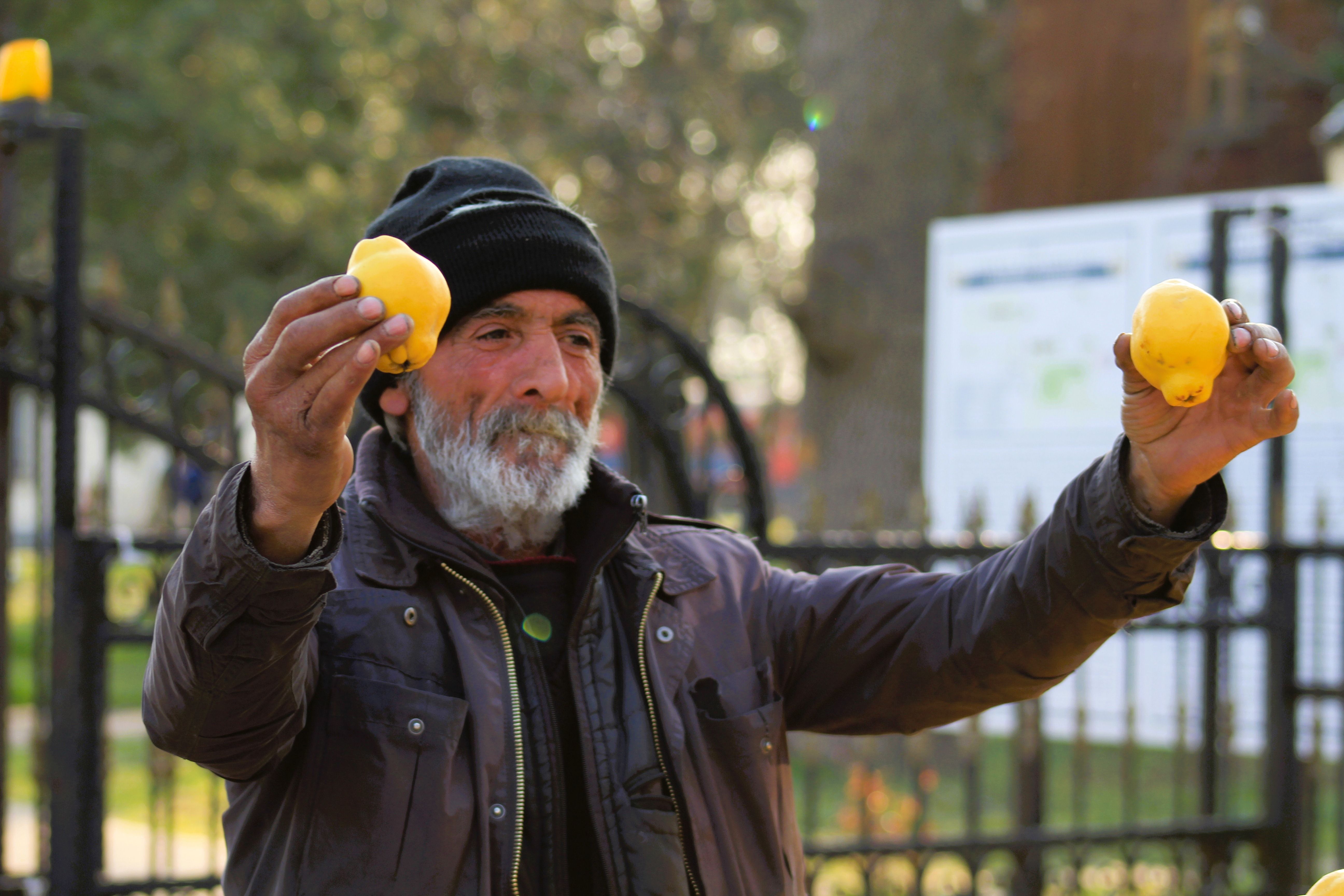 Morning produce market by the park