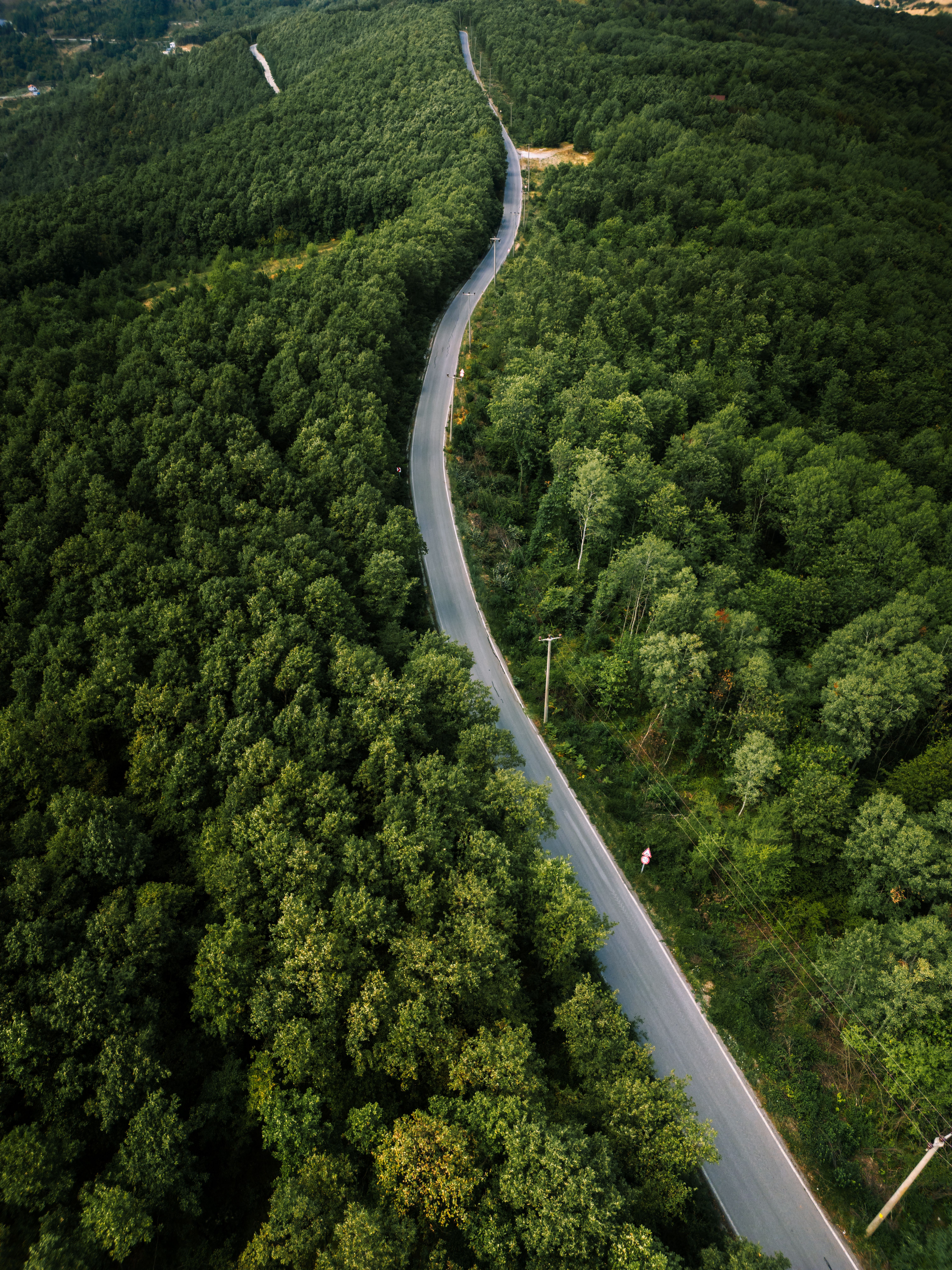 Winding Road Through Lush Green Forest Landscape · Free Stock Photo