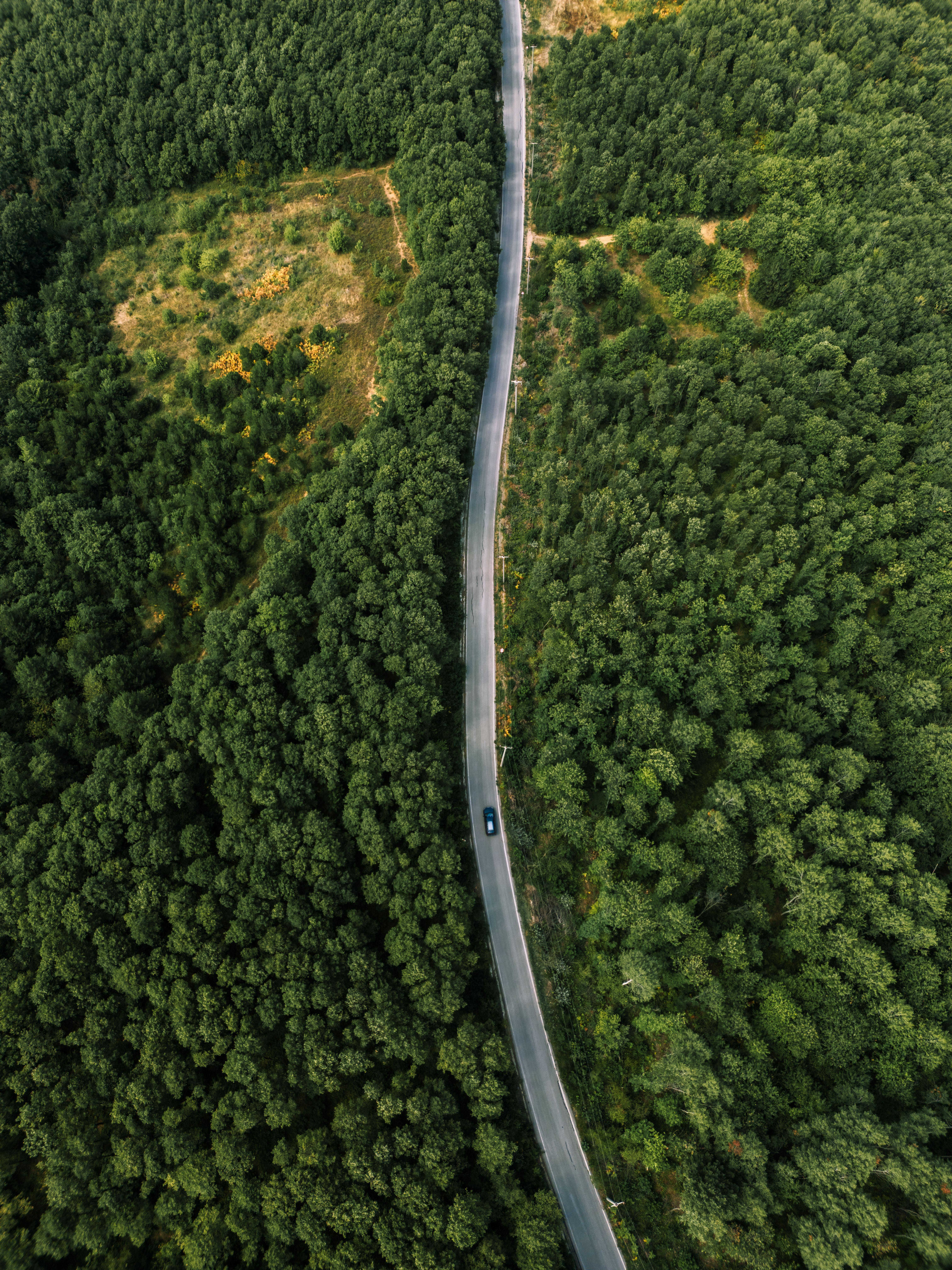 Aerial View of Serpentine Road Through Lush Forest · Free Stock Photo