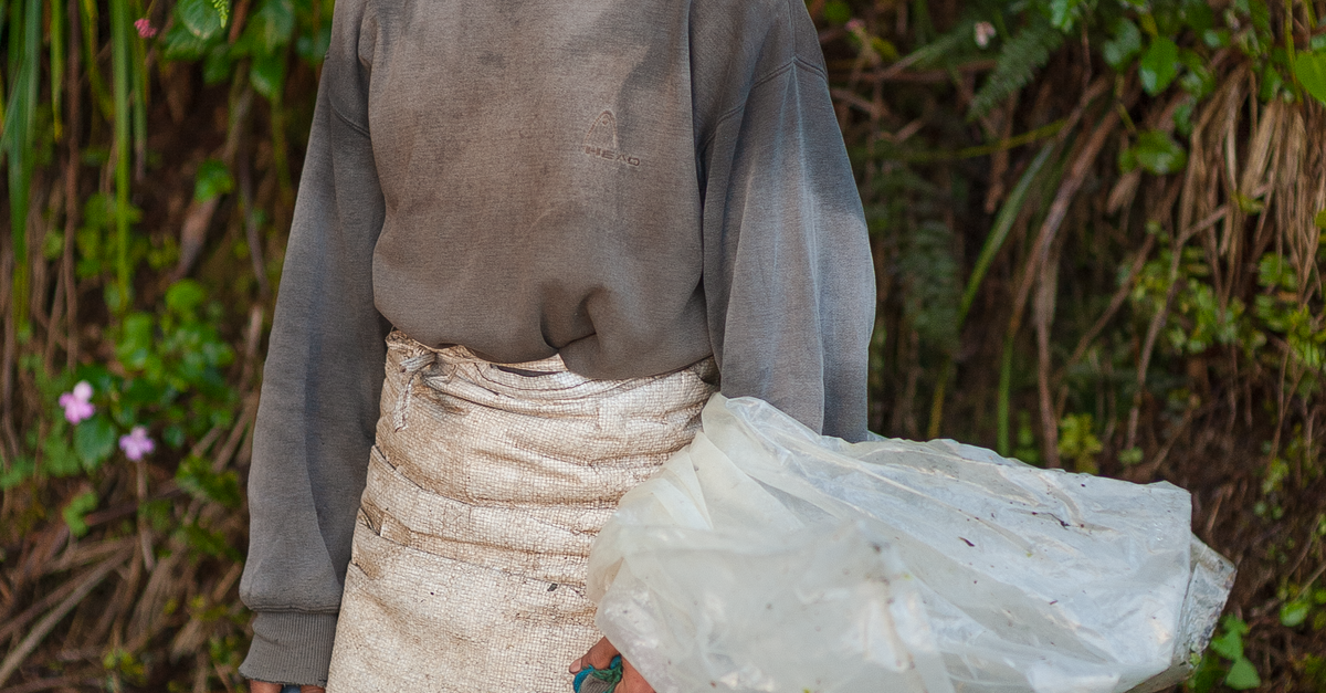 O Tea Worker Tea Worker in Cameron Highlands, Malaysia · Free Stock Photo