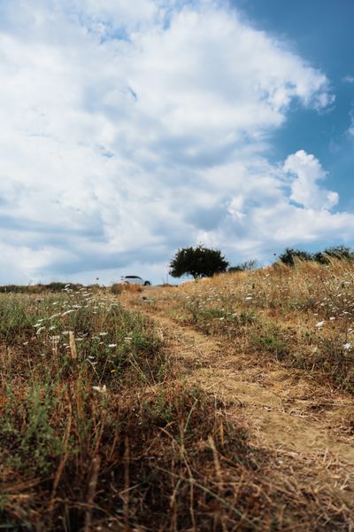 Dirt path across an open field — photo by Yunus Tuğ on Pexels