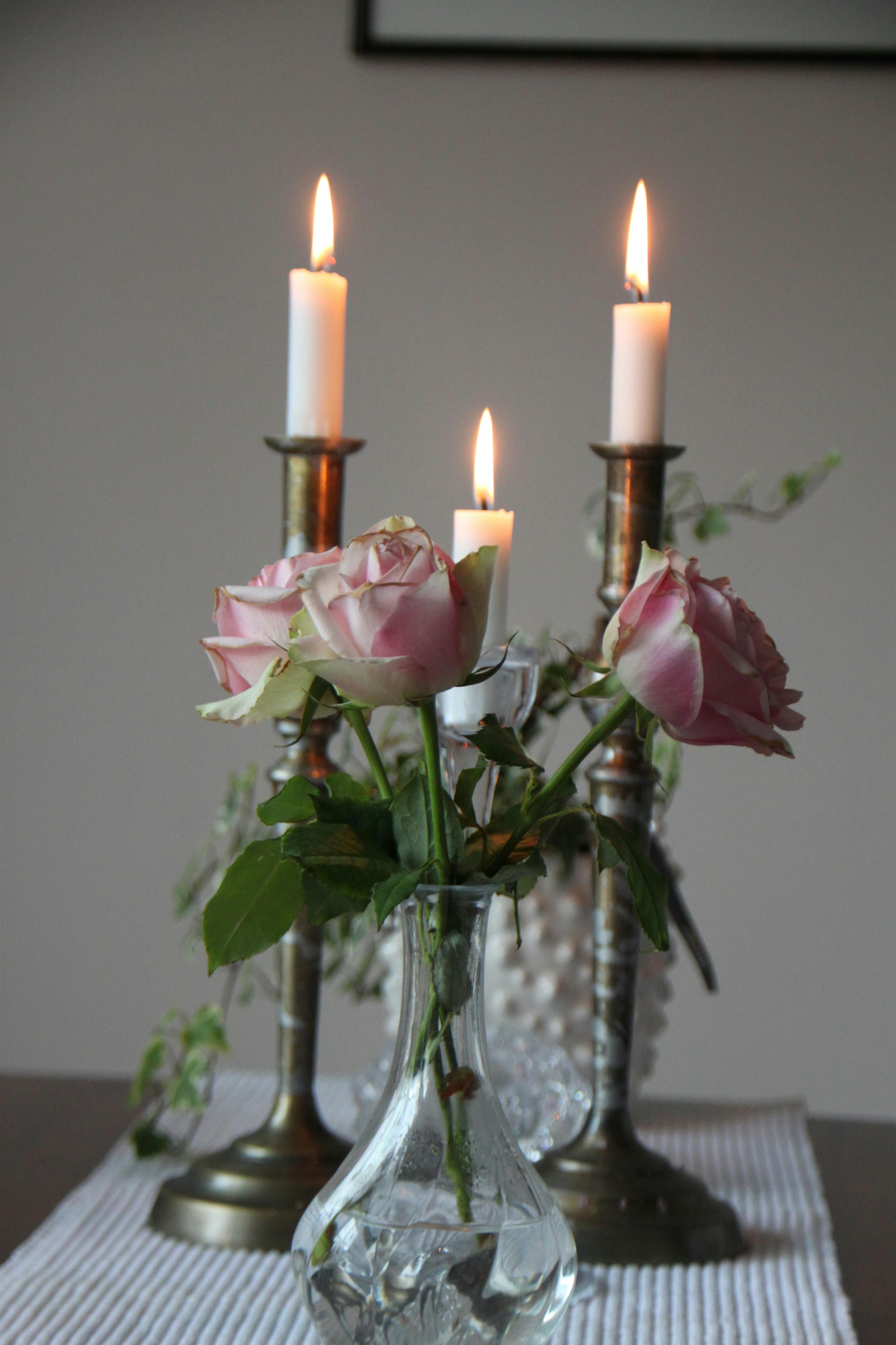 A serene still life featuring pink roses in a vase with lit candles.