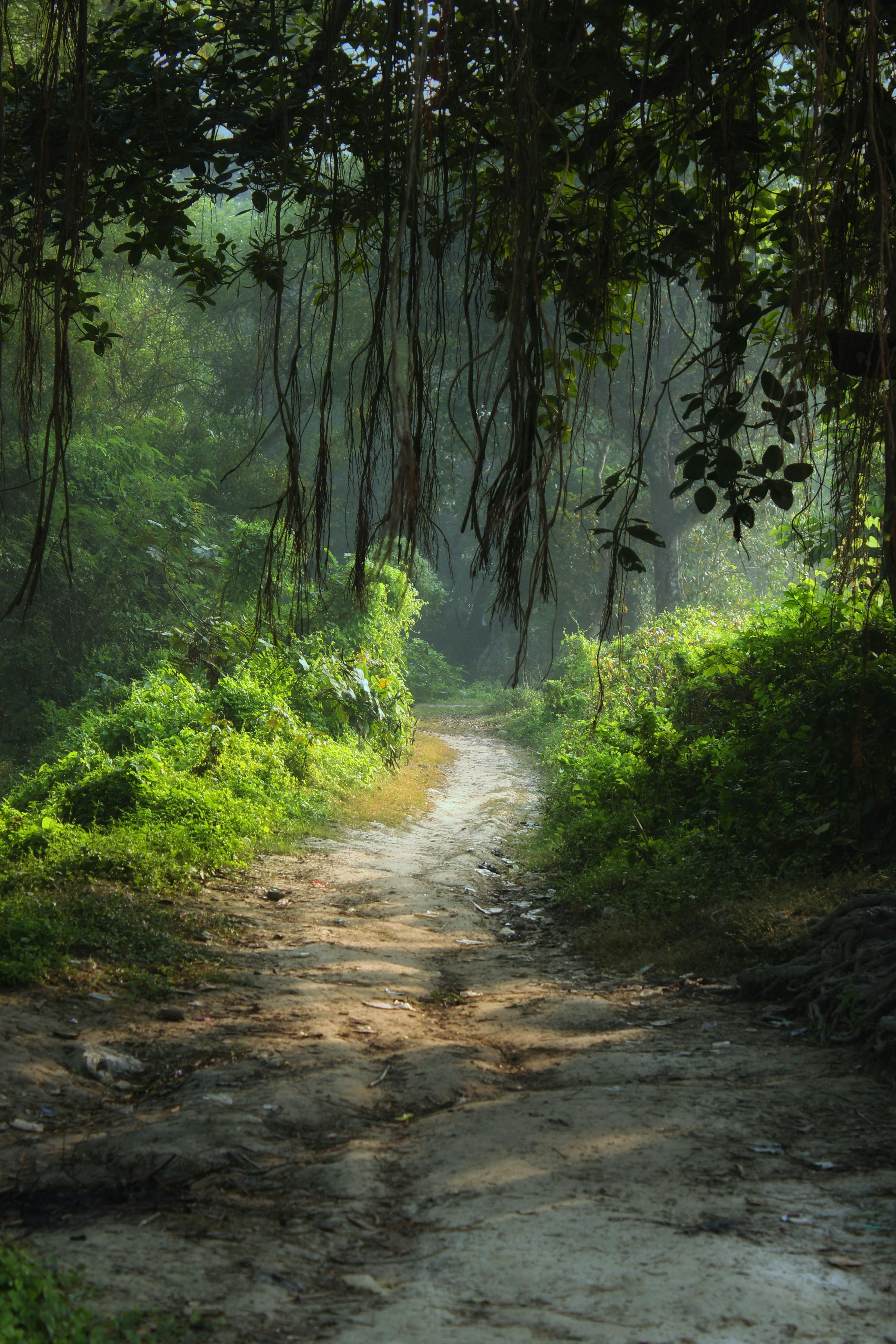 Trung tâm nghiên cứu văn học, phát triển nhà văn Việt Nam