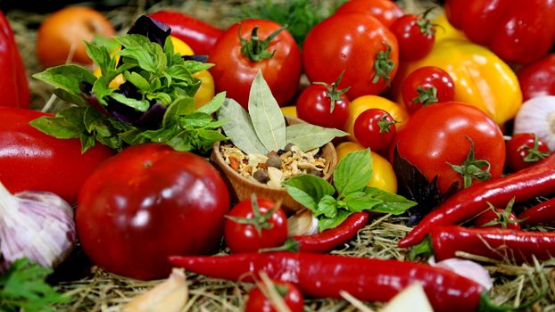 Colorful assortment of fresh peppers and tomatoes with herbs and spices.