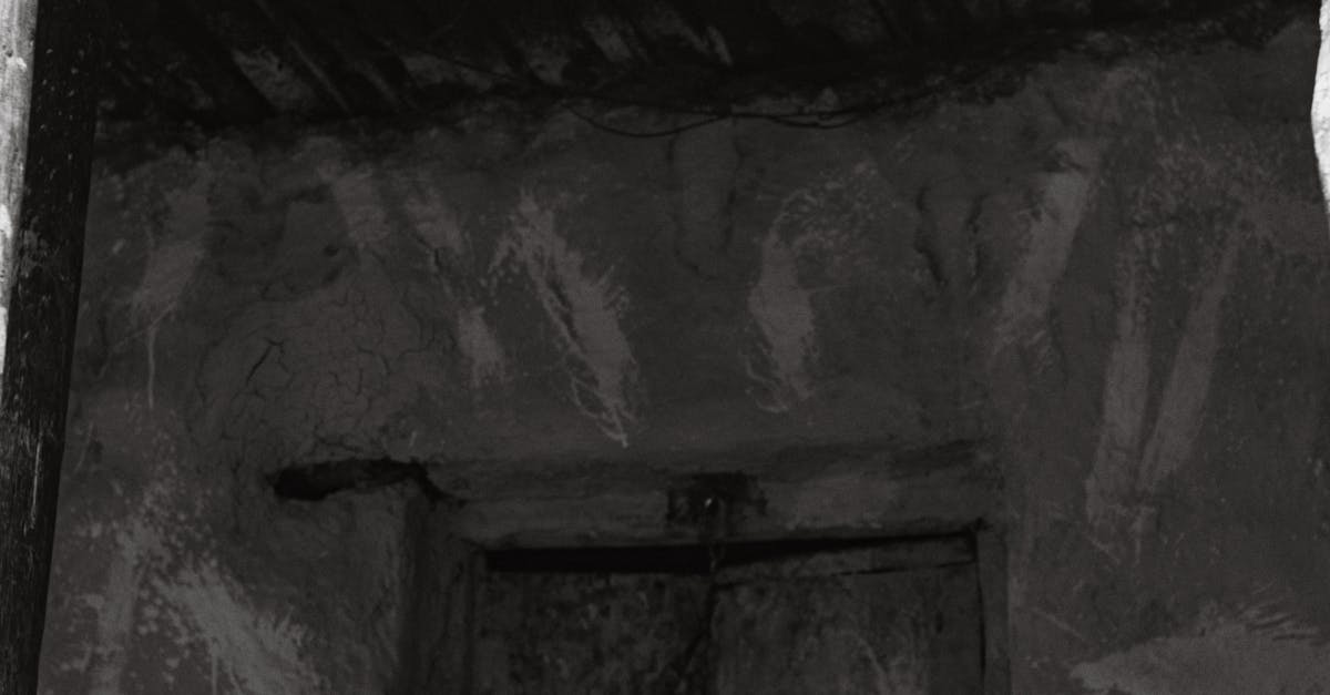 有你陪伴學習不孤單 展望會打造孩子安心生活起點