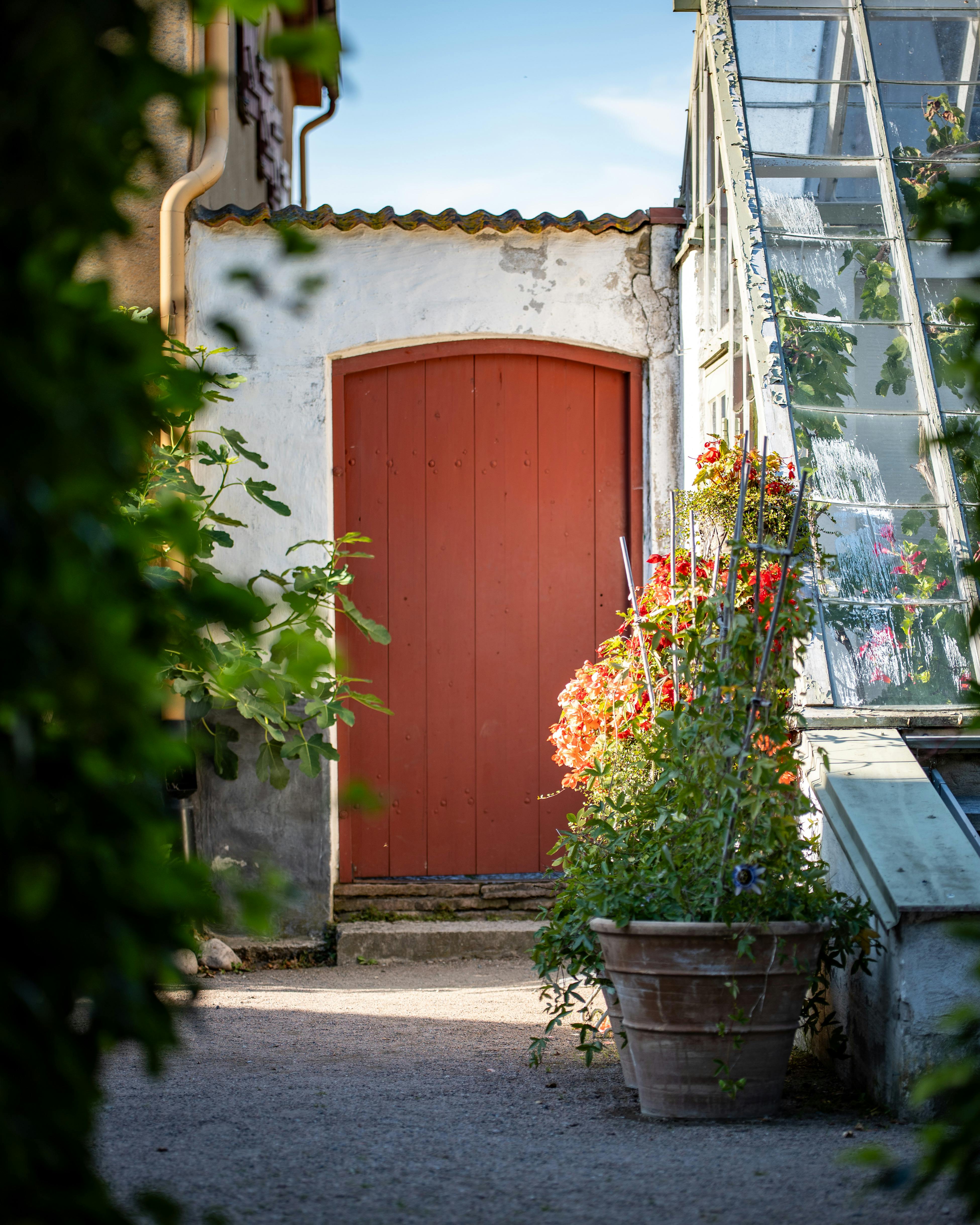 Serra da giardino con porta rossa e aperture laterali per ricambio d'aria