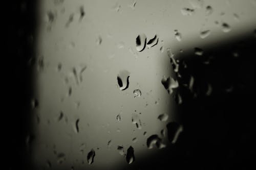 Free Water Droplets Stock Photo