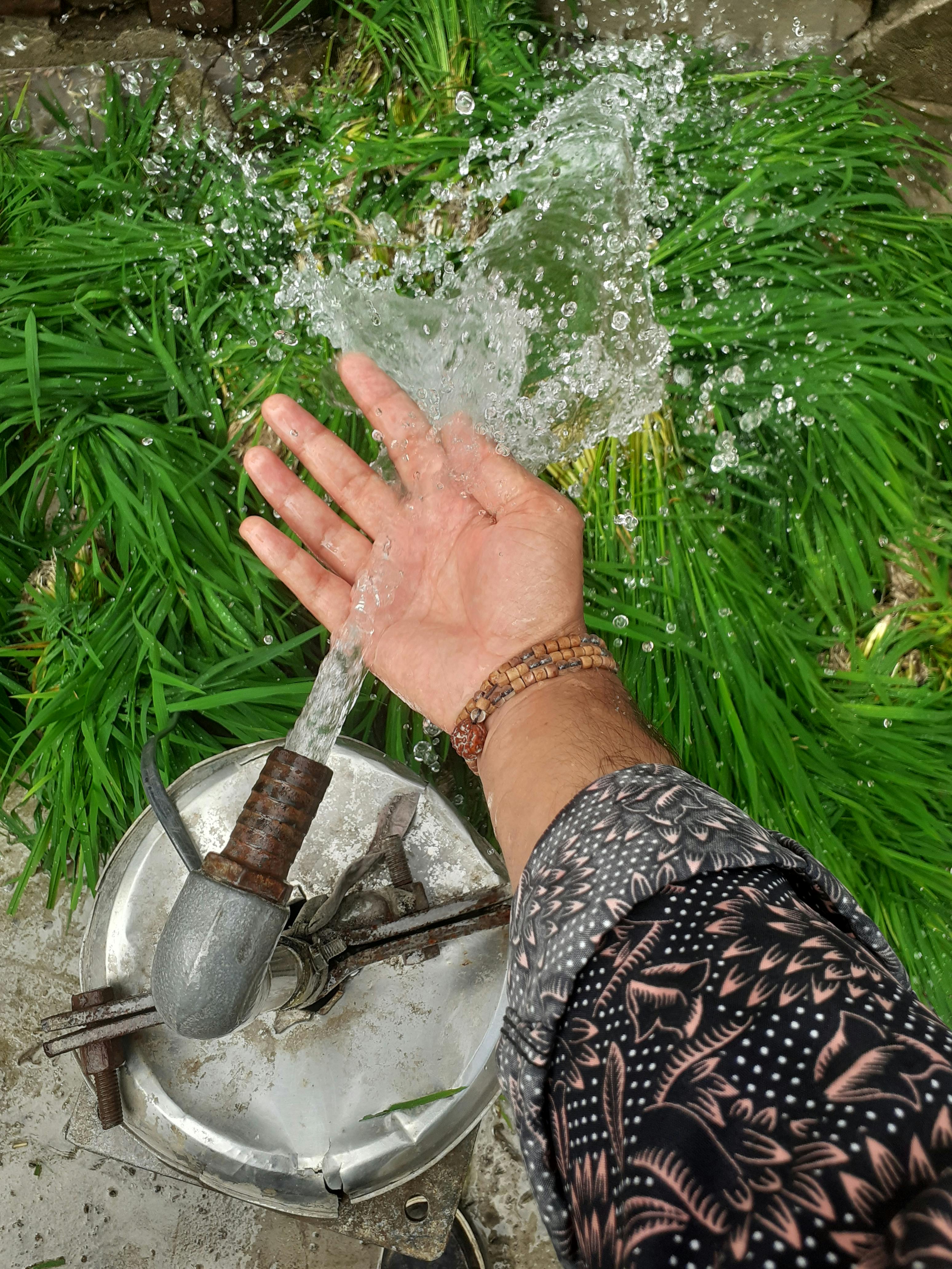 A hand extends to catch splashing water from a pipe amidst lush greenery.