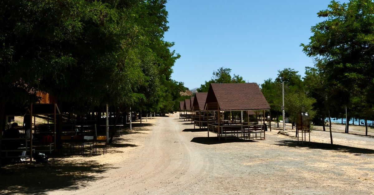 Outdoor picnic area with trees and empty tables on a sunny day, perfect for gatherings.