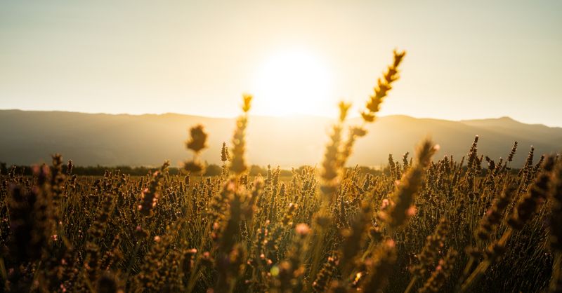 Comment les calendriers, solstices et rituels rythment nos repères culturels ?