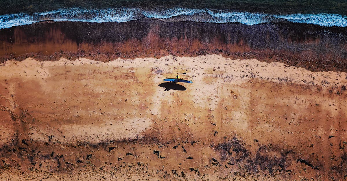 球場風雲 絕不放水 打假球與運動賭博全解析