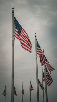 Row of waving American flags against a cloudy sky, showcasing patriotism.