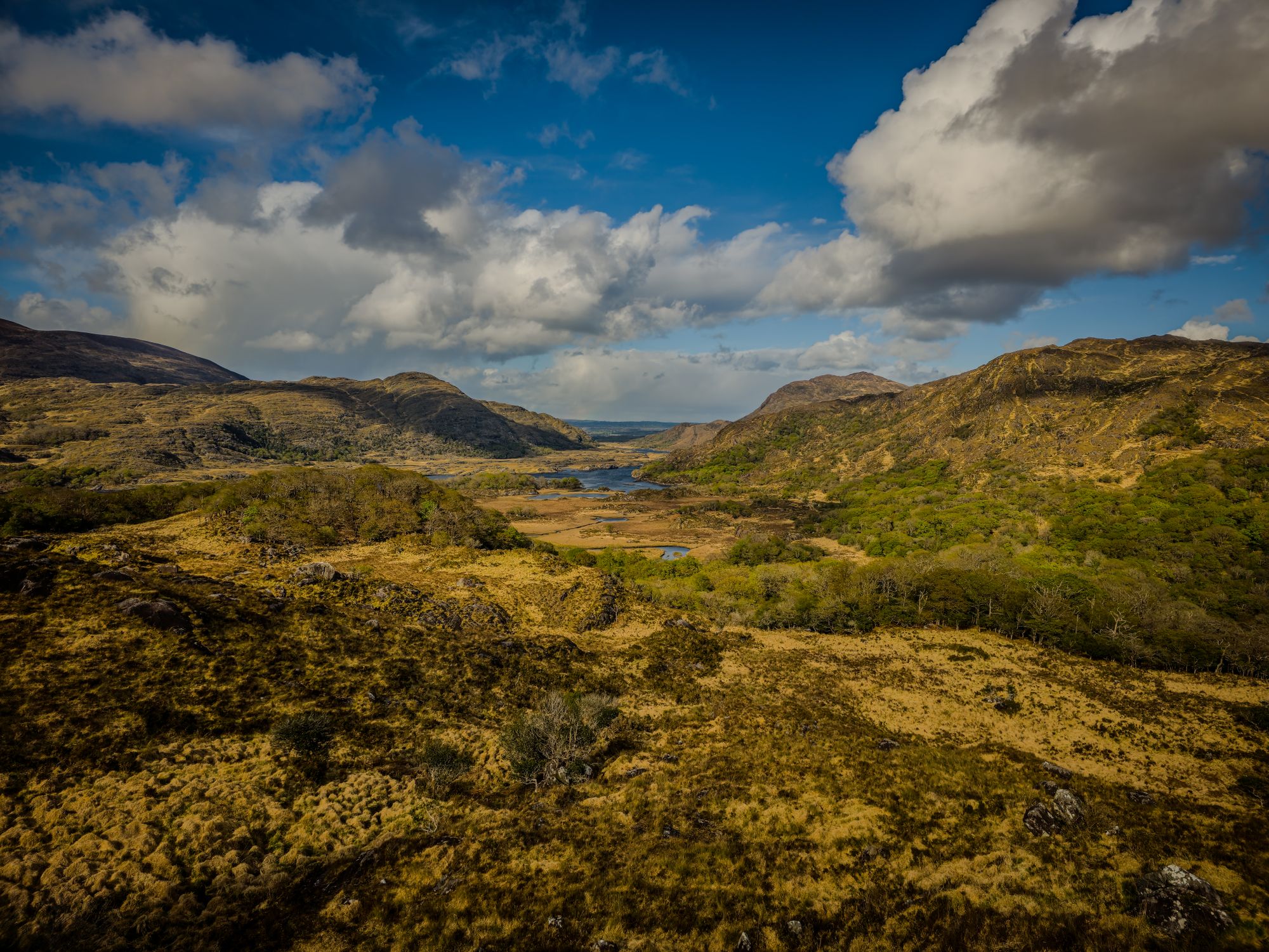 Kerry