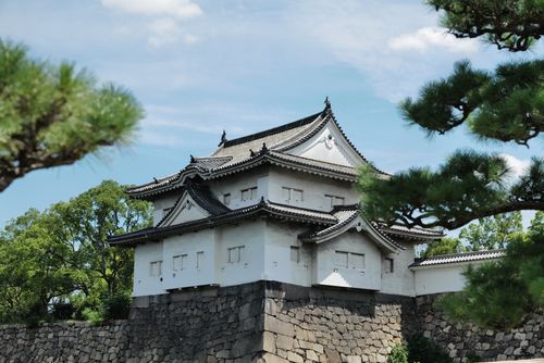Free A beautiful view of a traditional Japanese castle surrounded by lush greenery in Osaka, Japan. Stock Photo