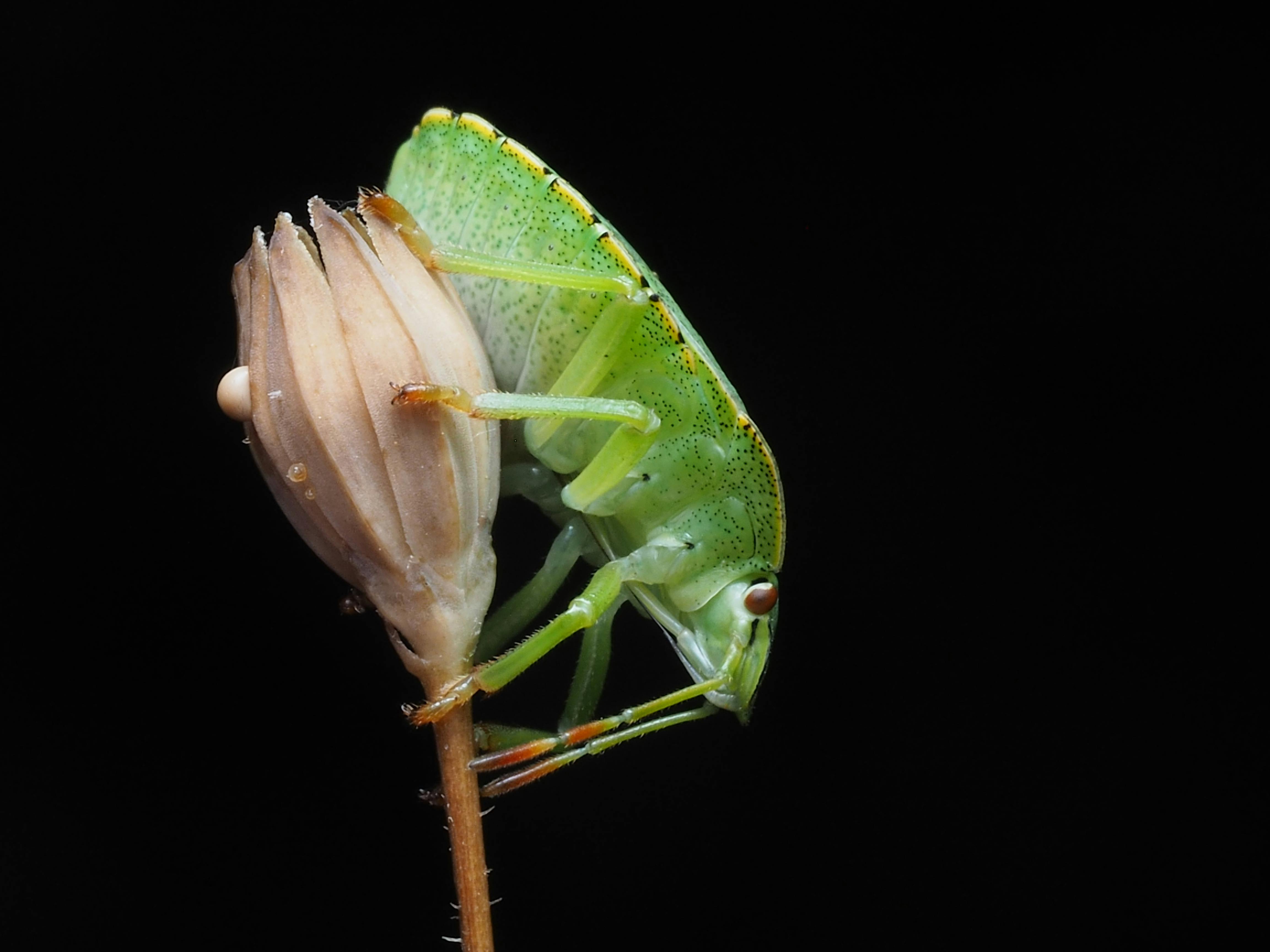 210-236-fotos-y-im-genes-de-system-error-codes-windows-gratis-banco