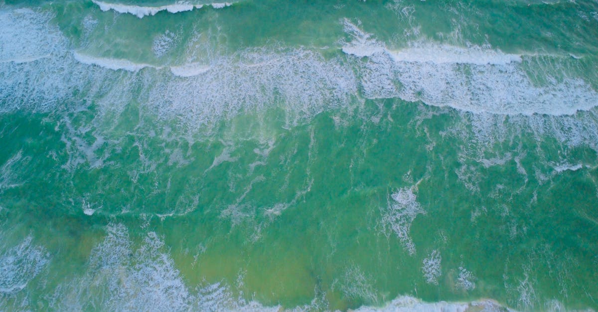 臺中海洋館開箱 8 21正式對外營運 夏日必訪新地標