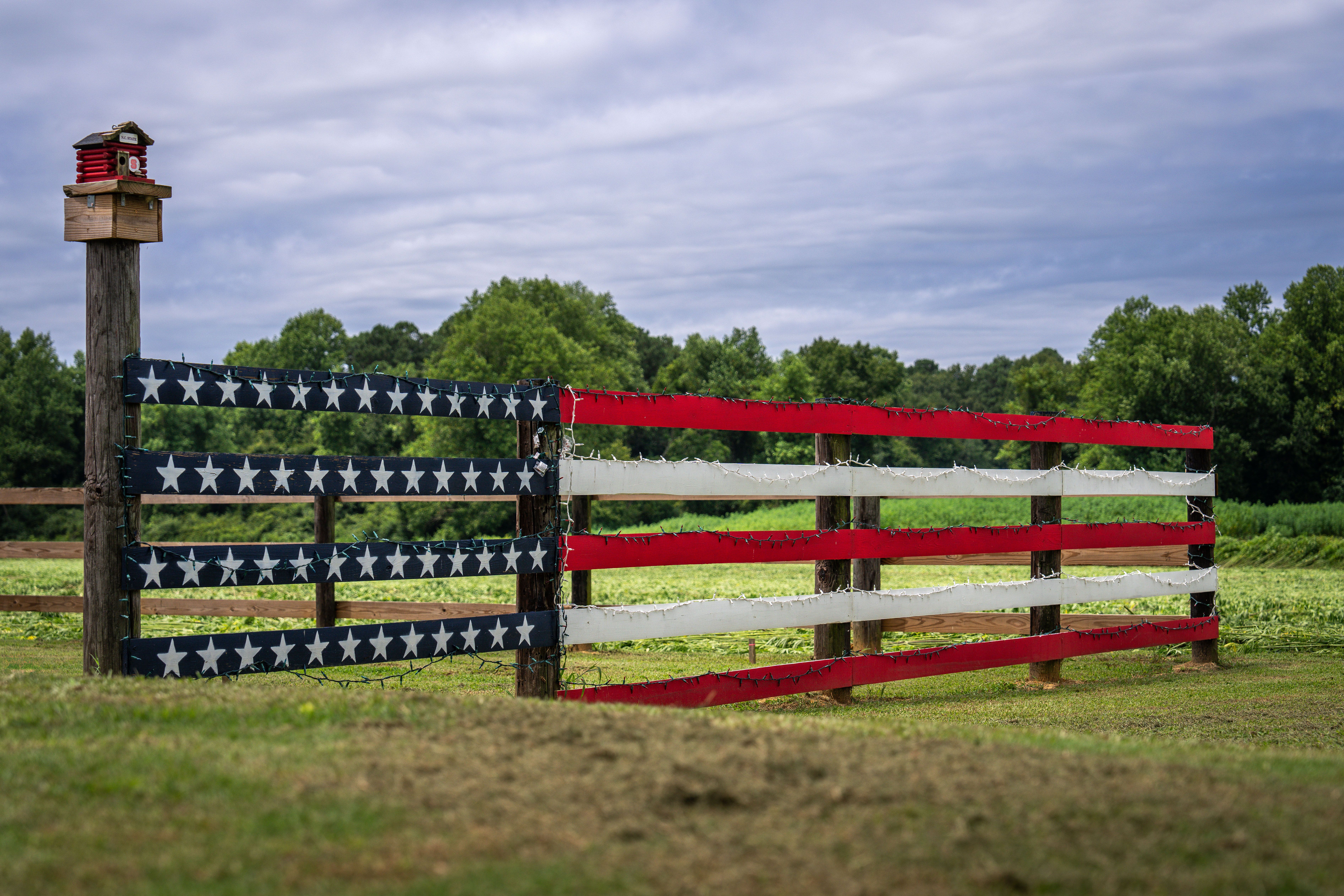 A rustic fence painted with the American flag surrounded by lush greenery in a rural setting.