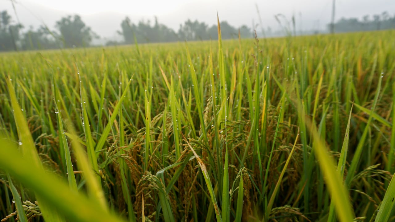 Thám tử lừng danh Conan | Chương 0670