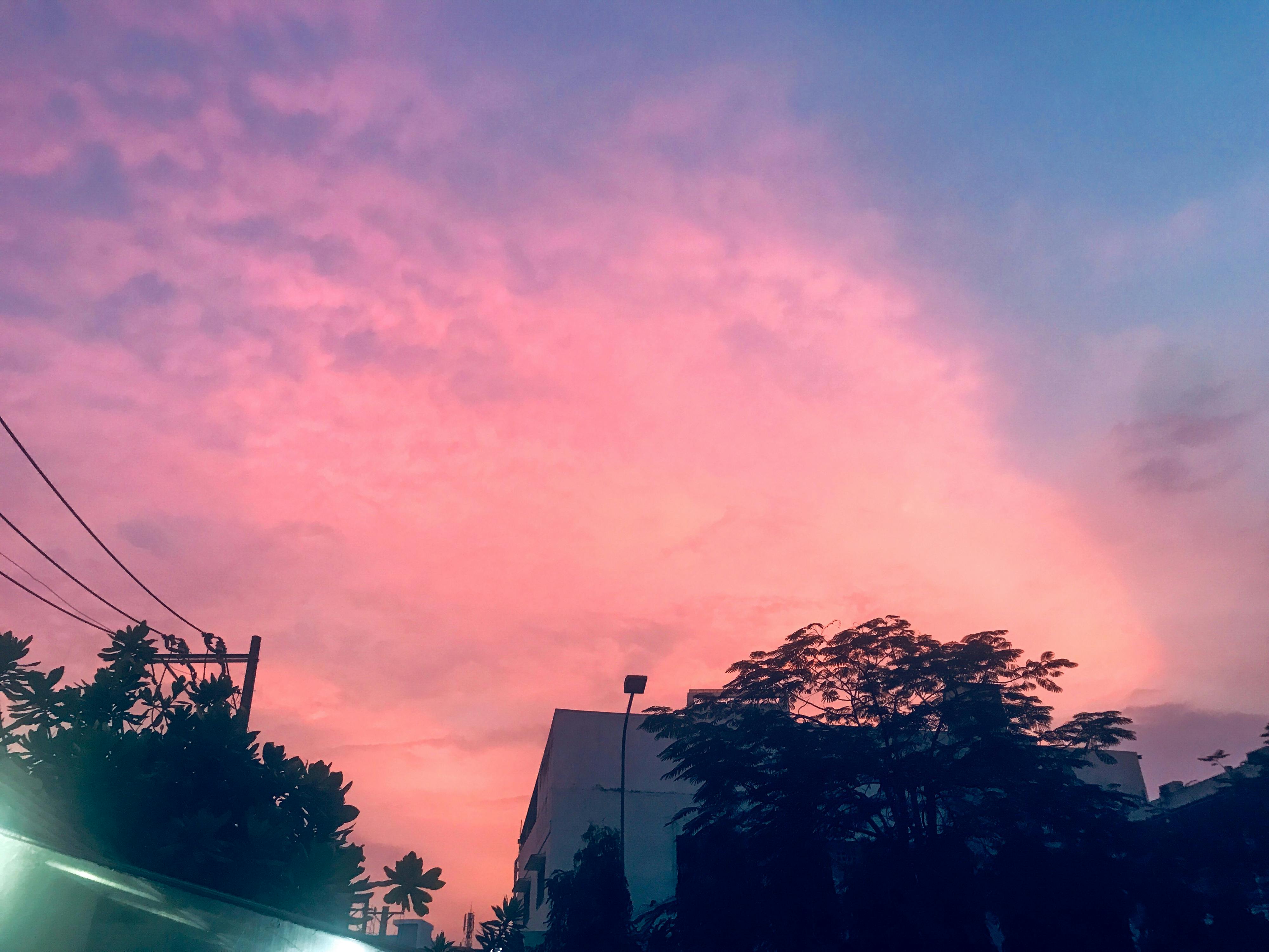 Danh sách theo thẻ van-hoc