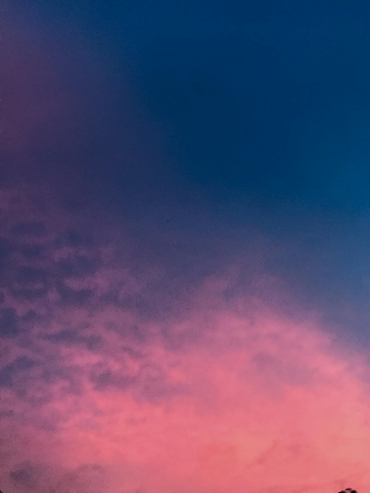 Thám tử lừng danh Conan | Chương 0971