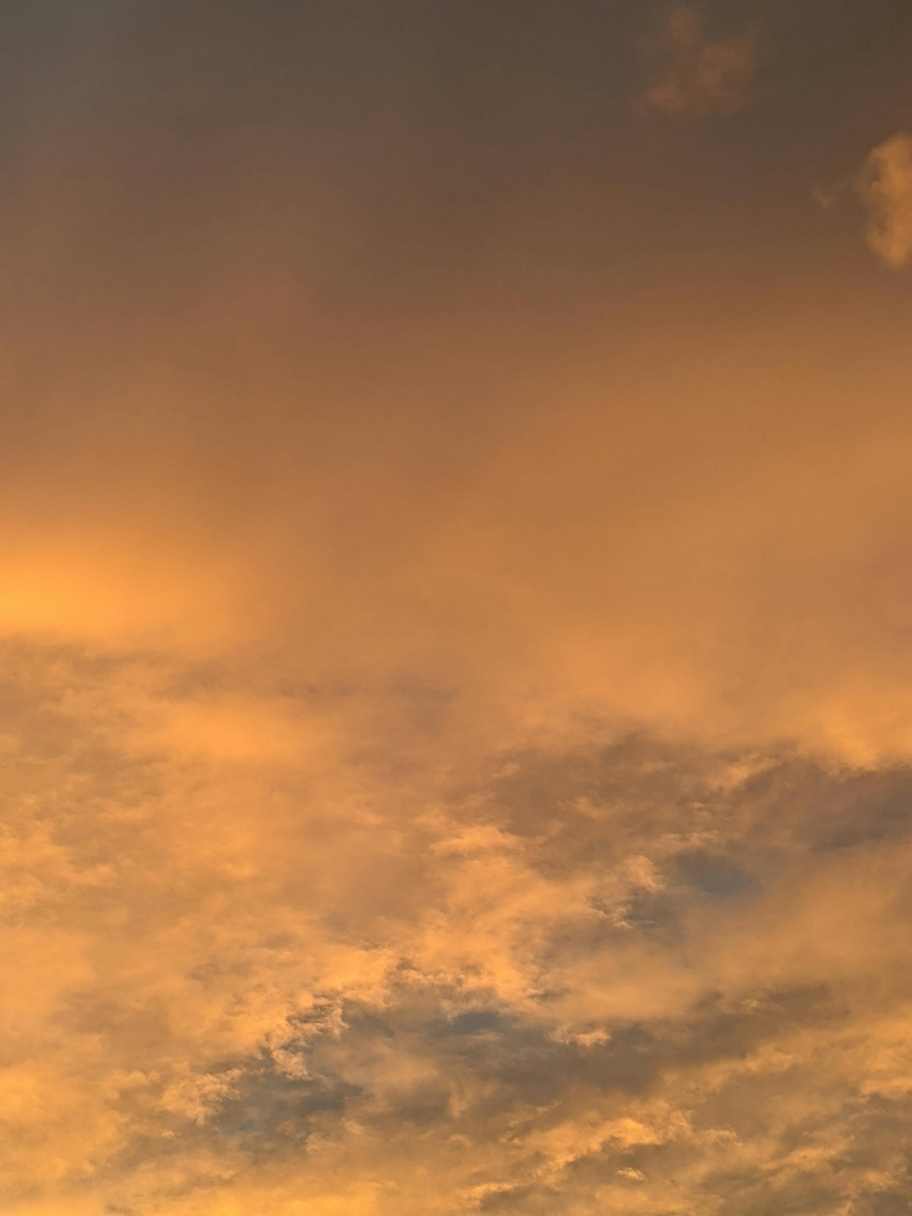 Tắm mưa để gột rửa tâm hồn 883 – viet lach, ton giao, phat giao, thien van, thuc hanh ton giao, mua rung tam hon.