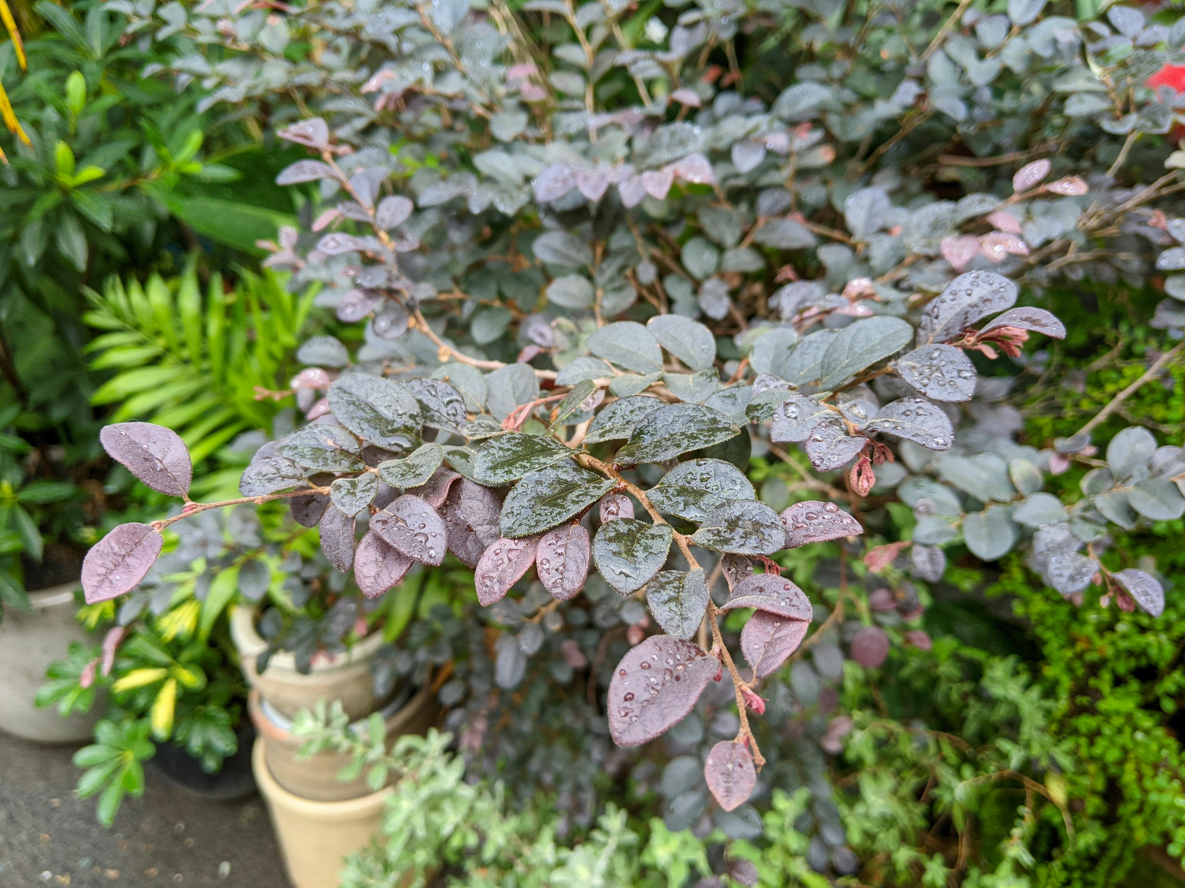 Danh sách theo thẻ phat-giao