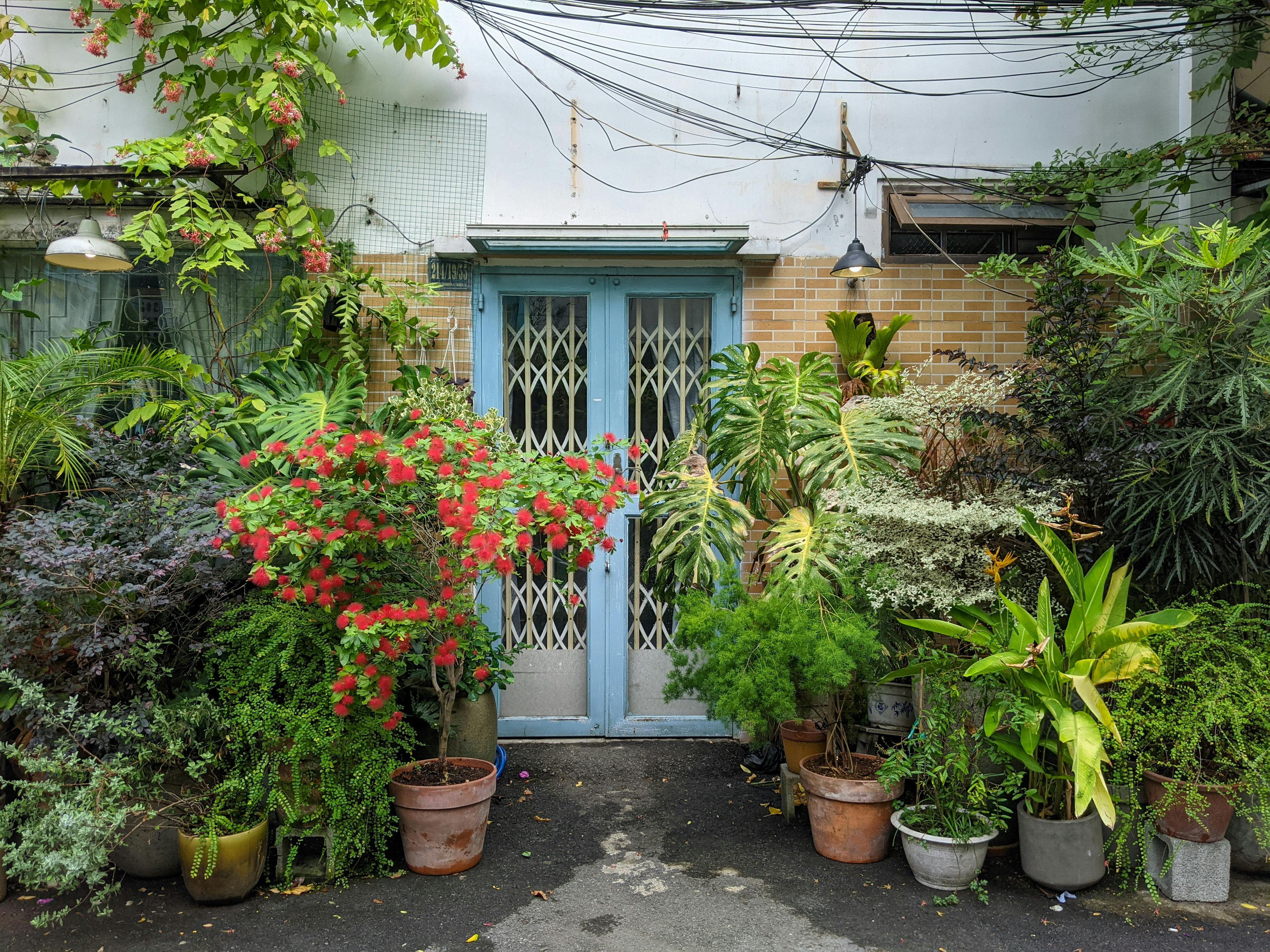 Chim lửa | Chương 81 166 – manga, tezuka osamu, hi no tori, chim lua, phoenix, bird of fire, chim lua chuong 81, chim lua 81.