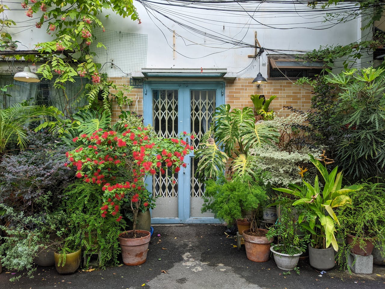 Thám tử lừng danh Conan | Chương 0672