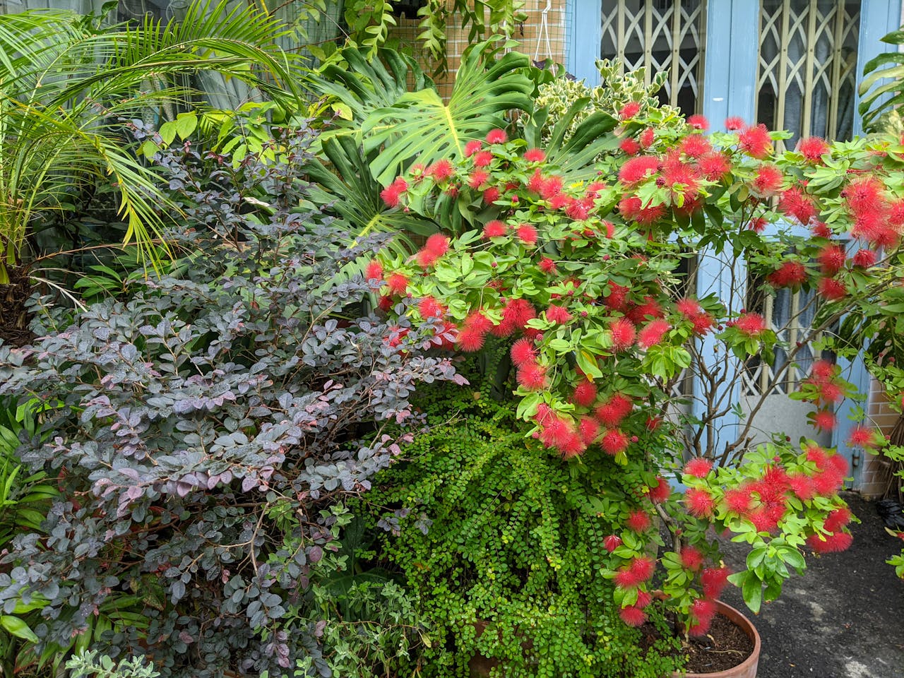 Thám tử lừng danh Conan | Chương 0122