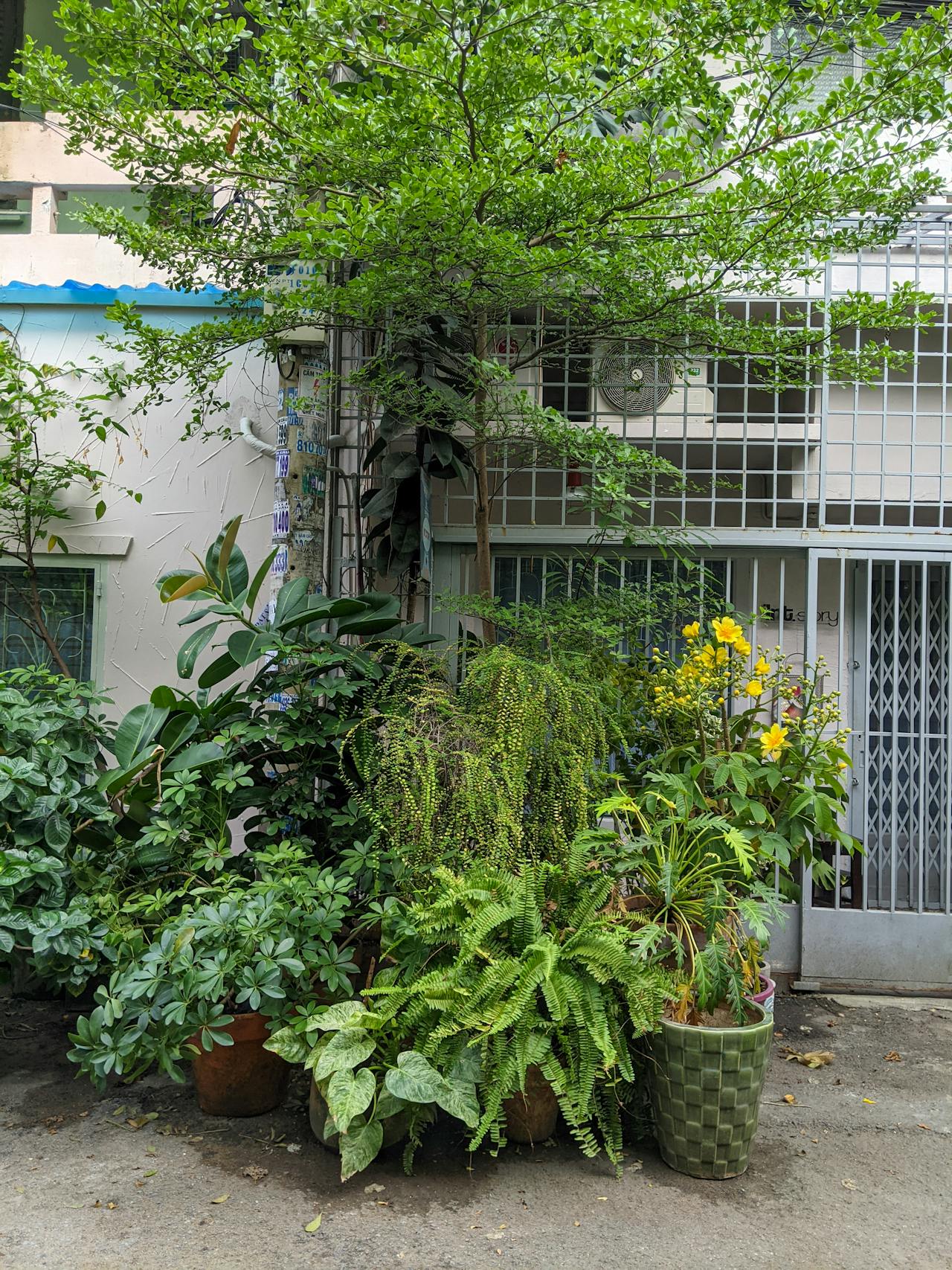 Thám tử lừng danh Conan | Chương 0204