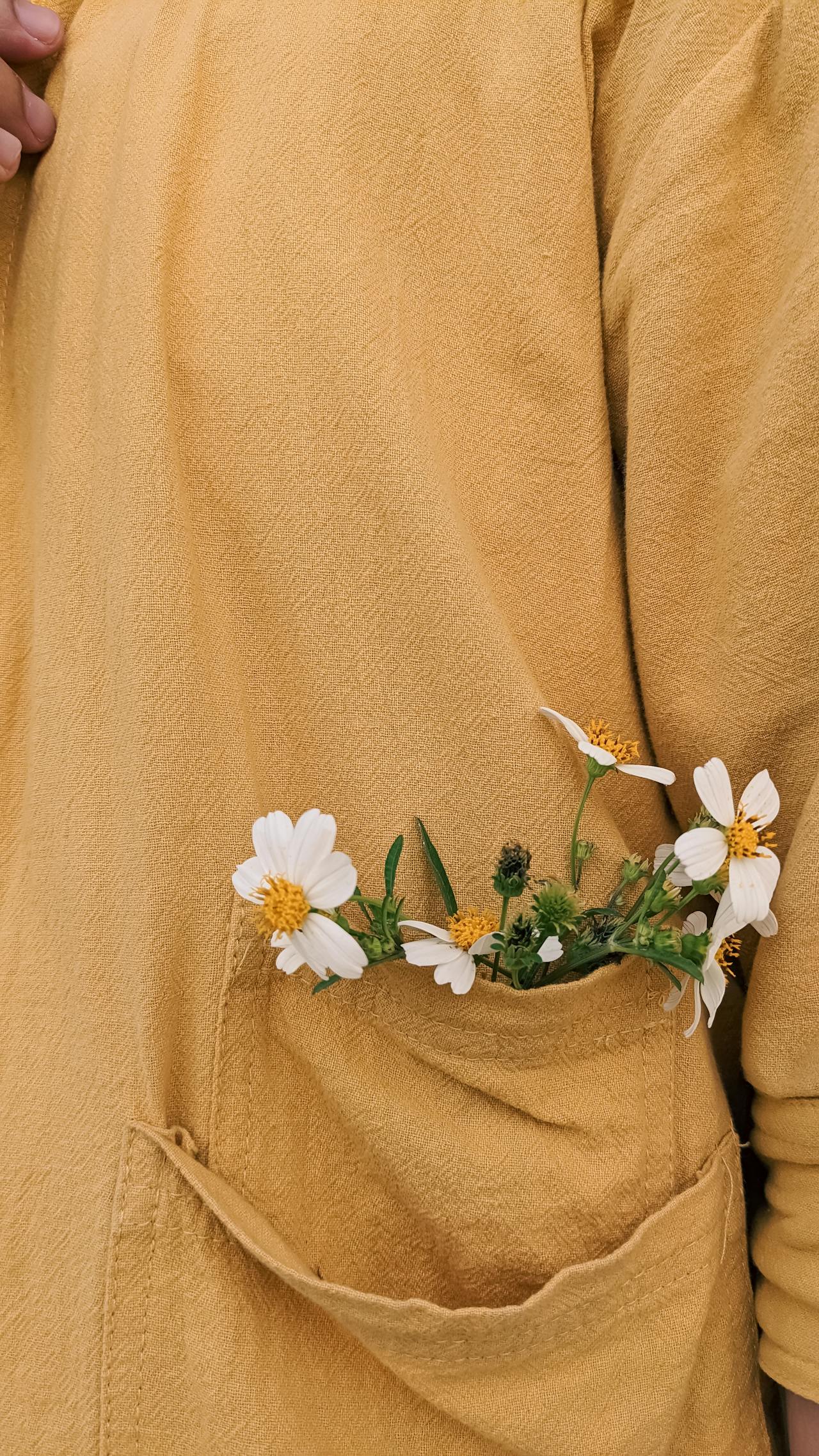 Cẩm nang du lịch Huế