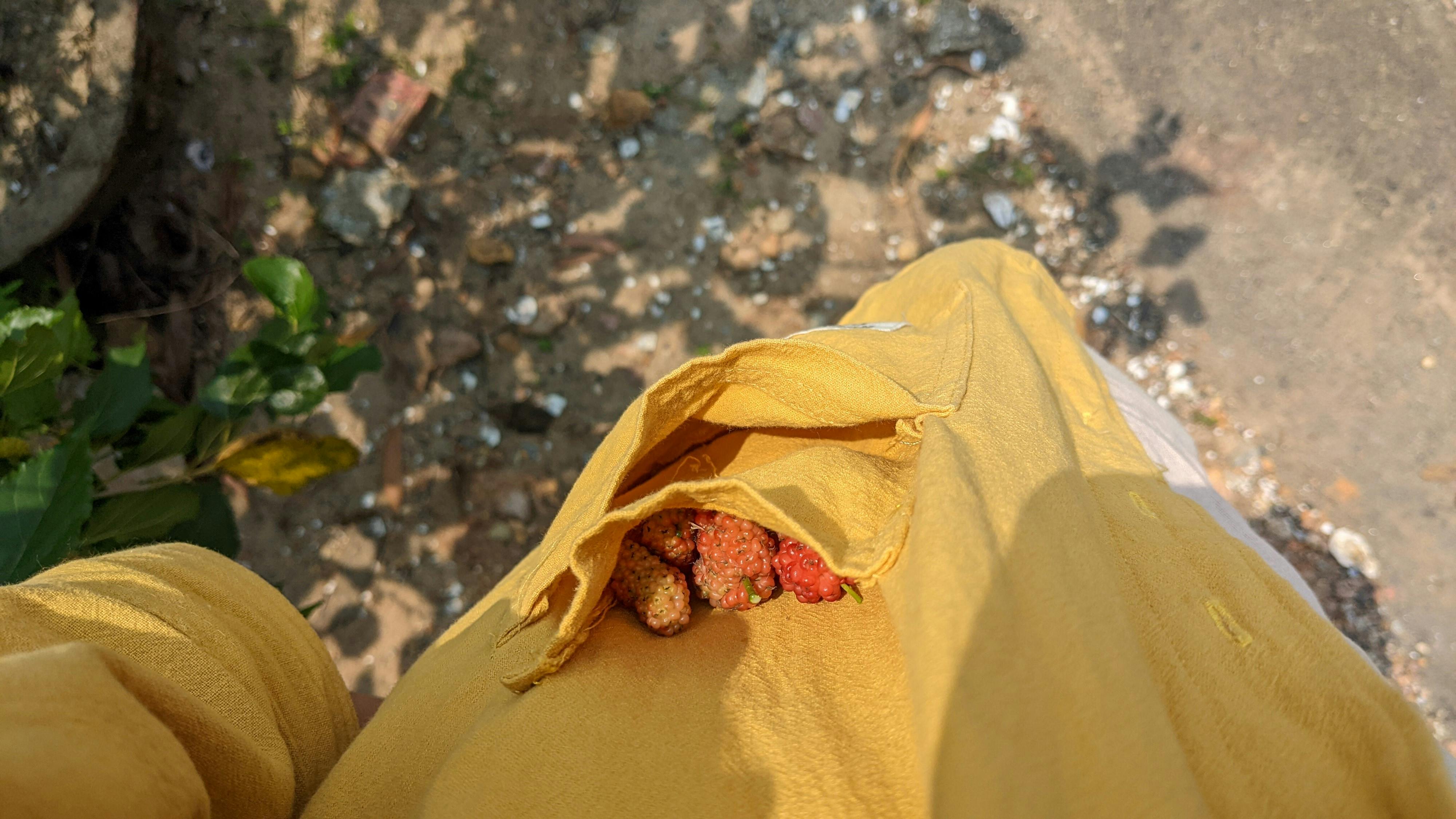 Trung tâm nghiên cứu văn học, phát triển nhà văn Việt Nam