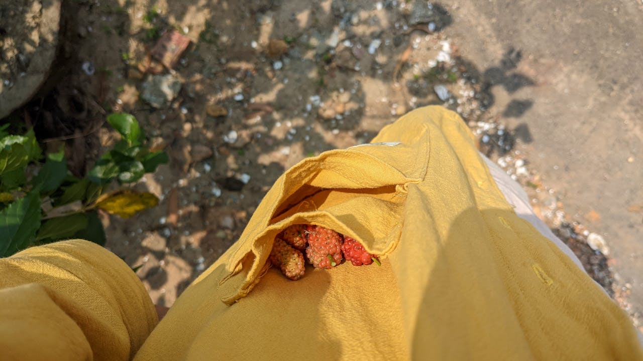 Giải mã các nghịch lý