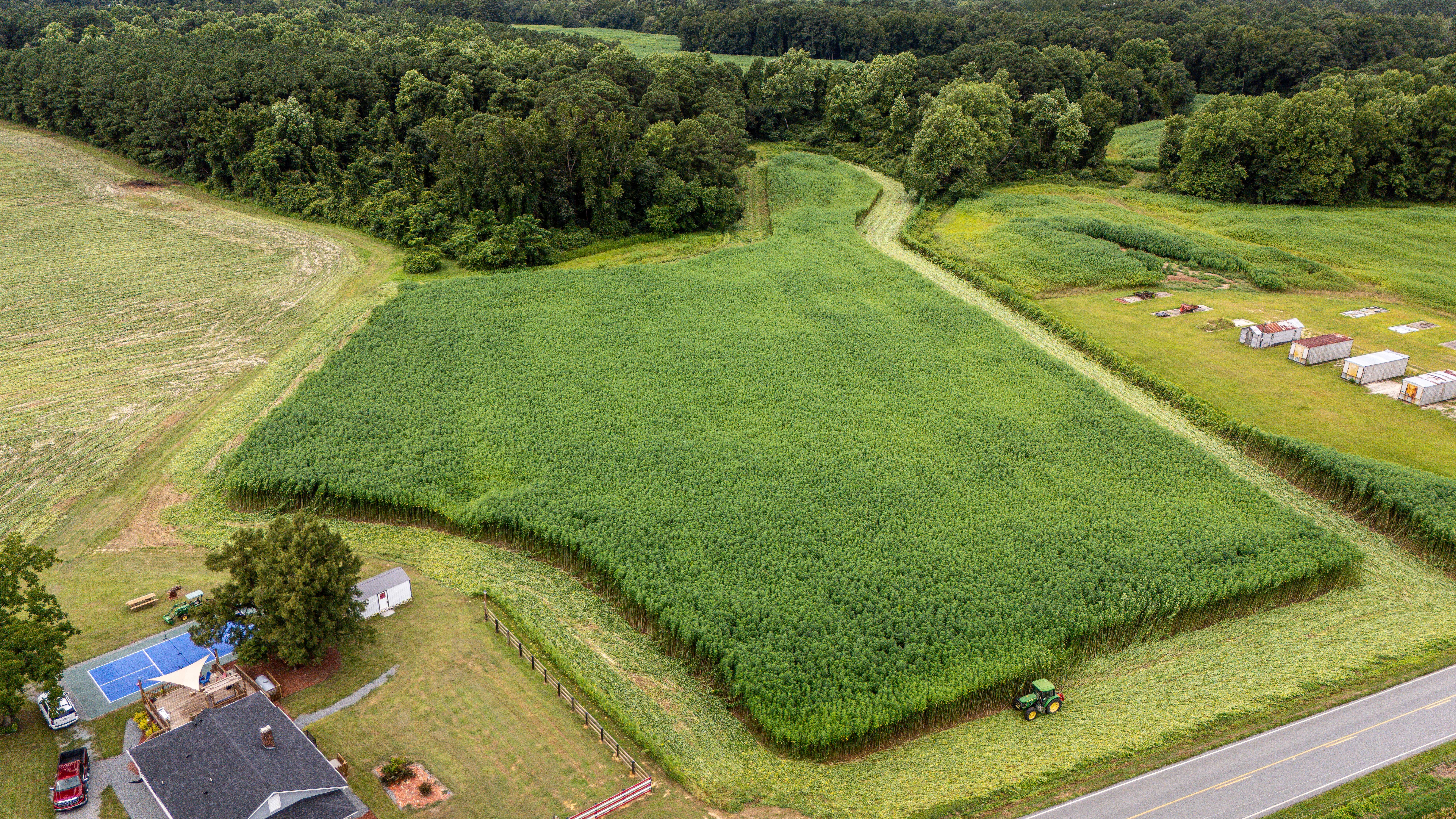 Aerial View of Lush Green Agricultural Fields · Free Stock Photo
