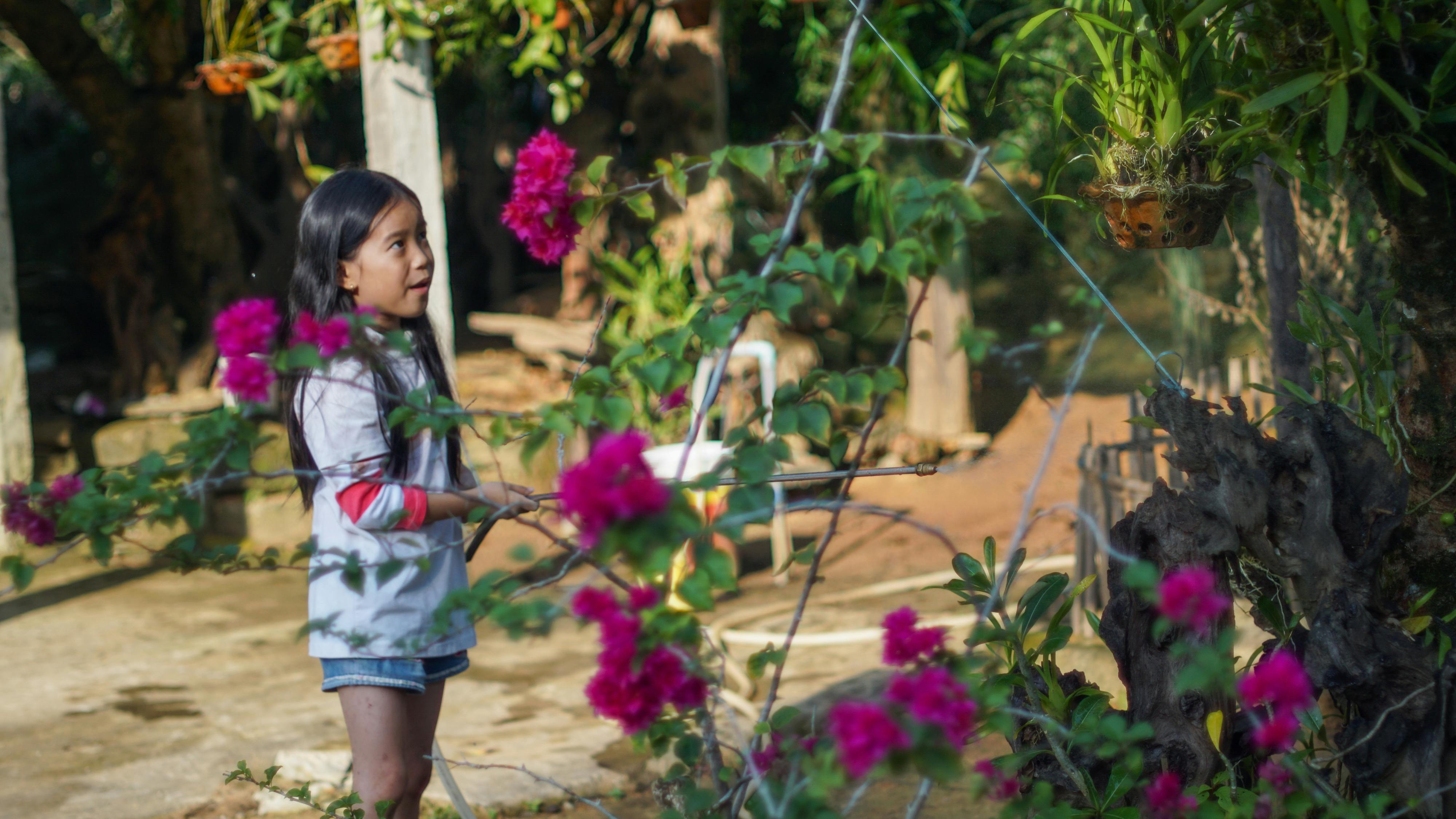 Trung tâm nghiên cứu văn học, phát triển nhà văn Việt Nam