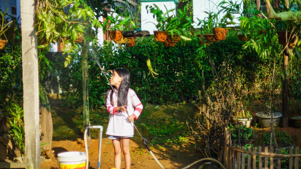 Tại sao vào mùa đông nhiều loài chim lại kéo nhau về phương nam?