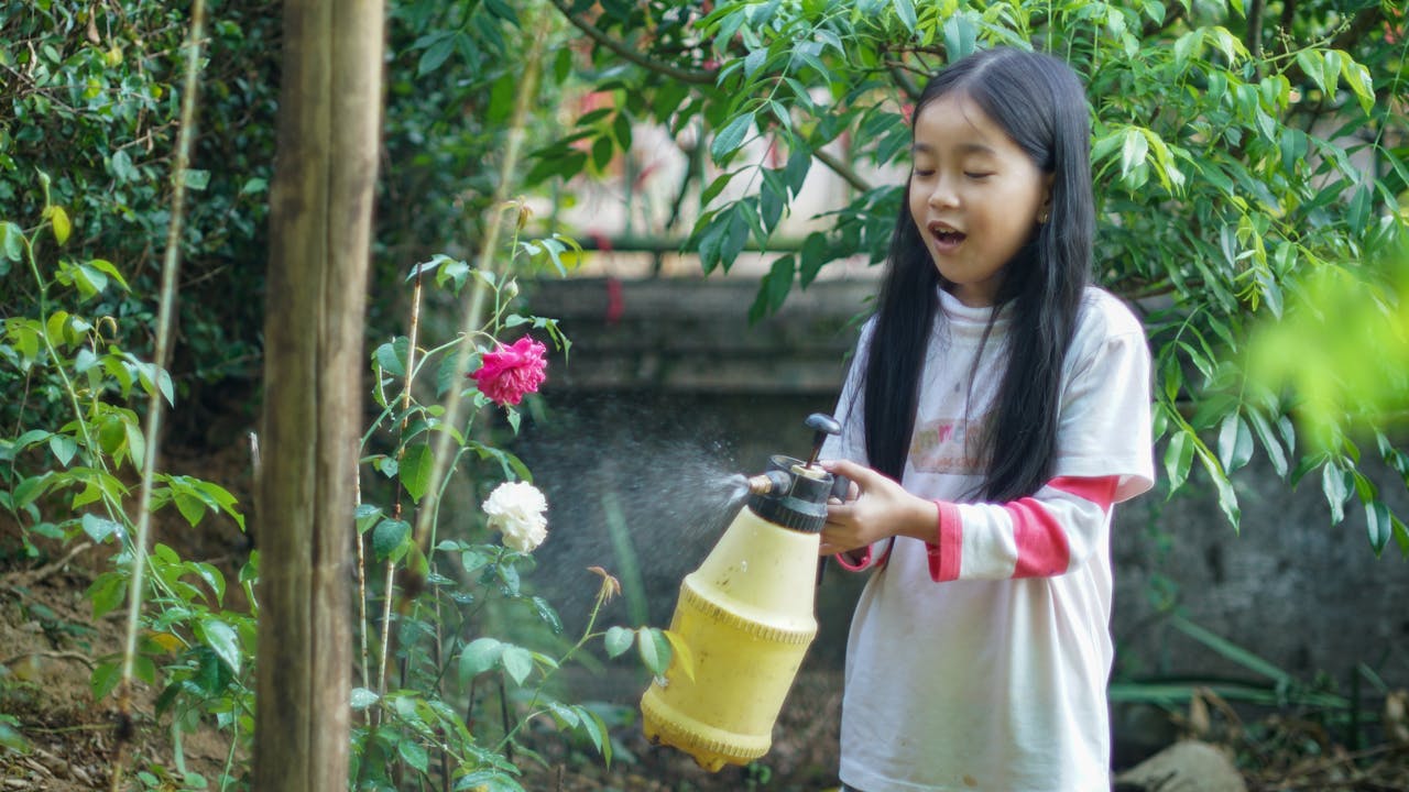 Tin vào tôn giáo và khoa học cùng lúc