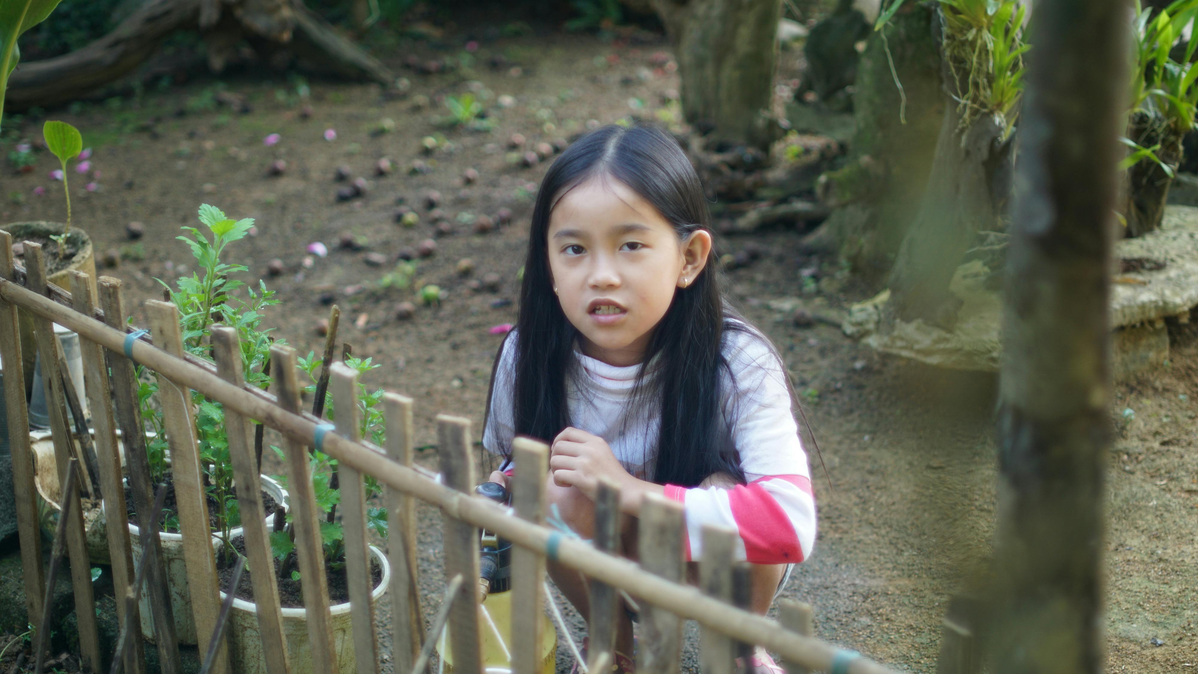 Trung tâm nghiên cứu văn học, phát triển nhà văn Việt Nam