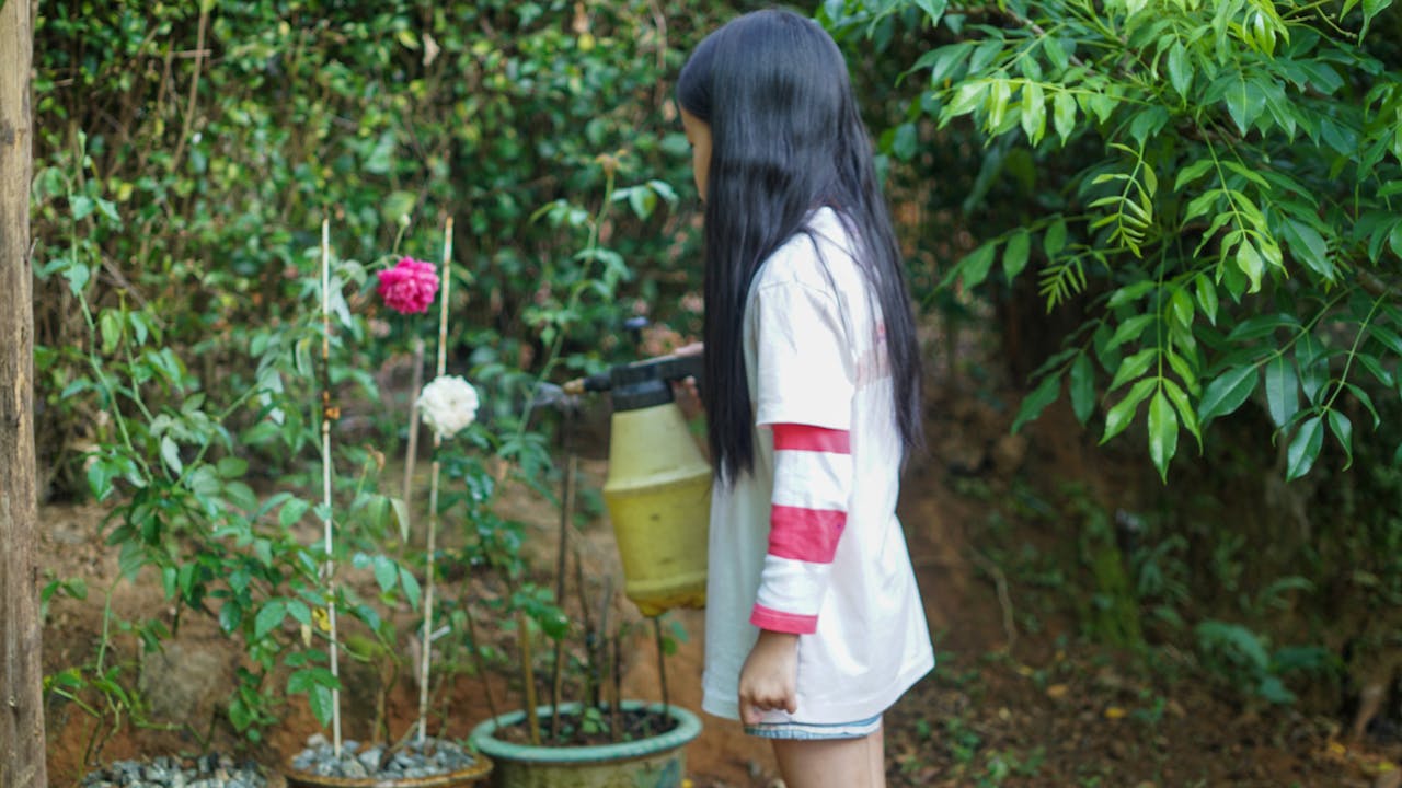 Nhịp điệu trong viết lách là gì?